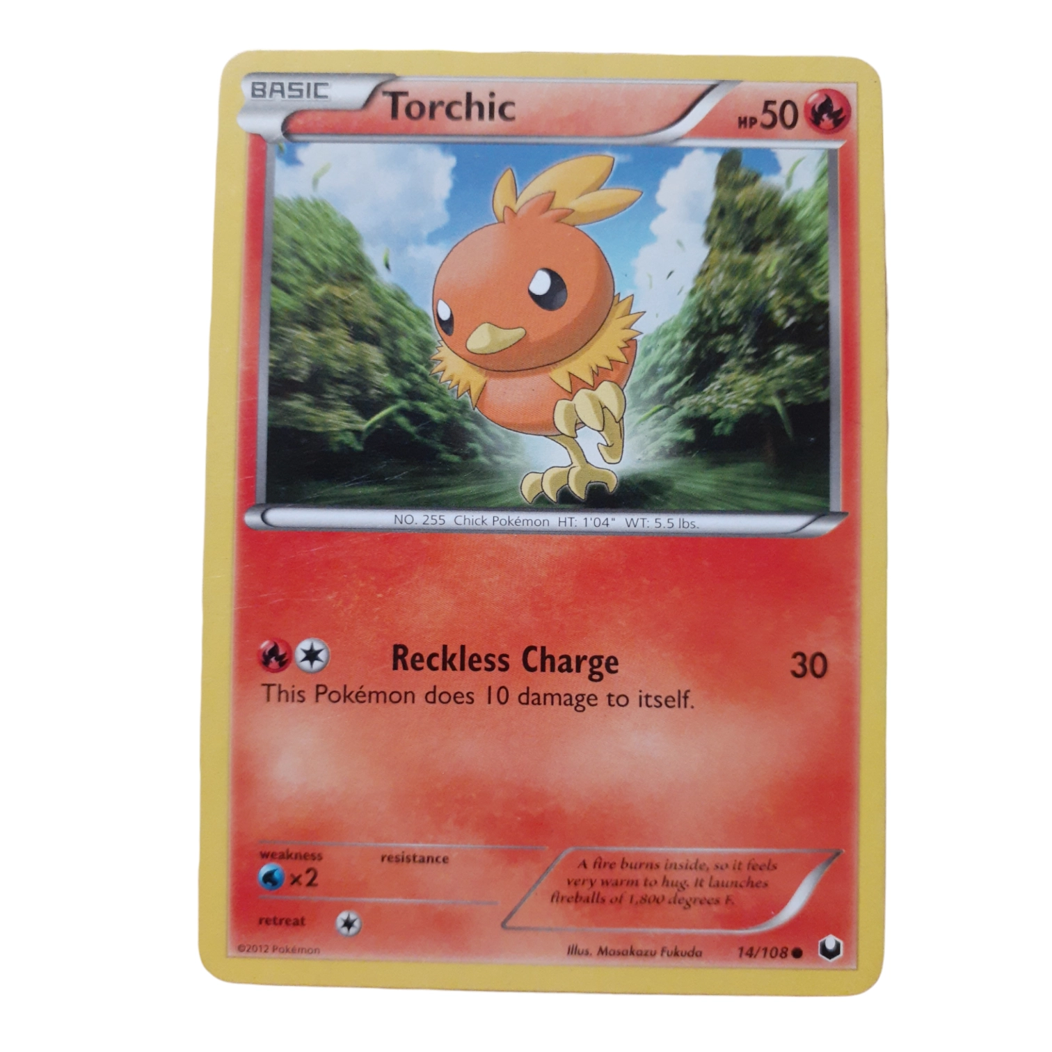 14/108 - Torchic