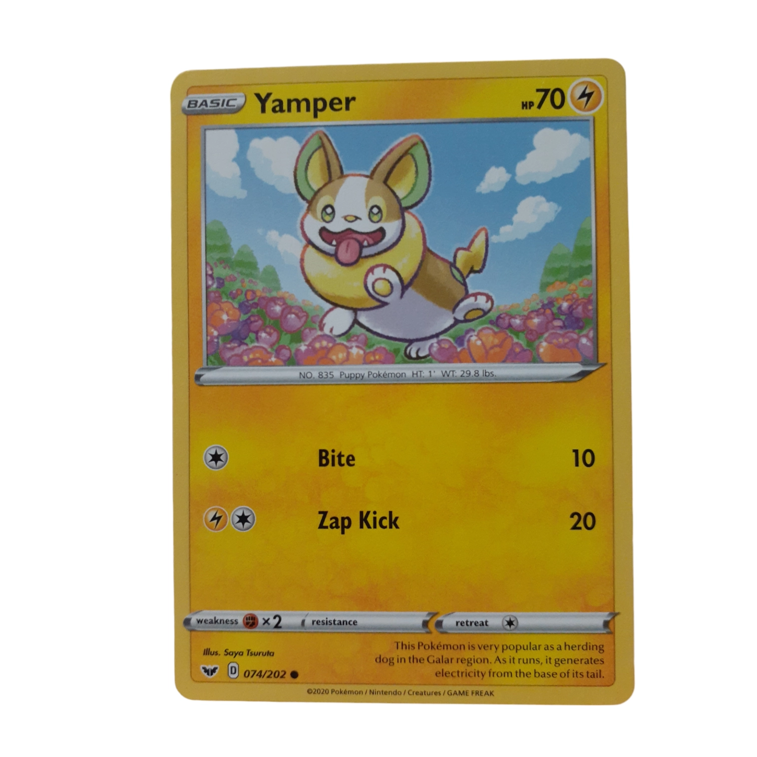 074/202 - Yamper