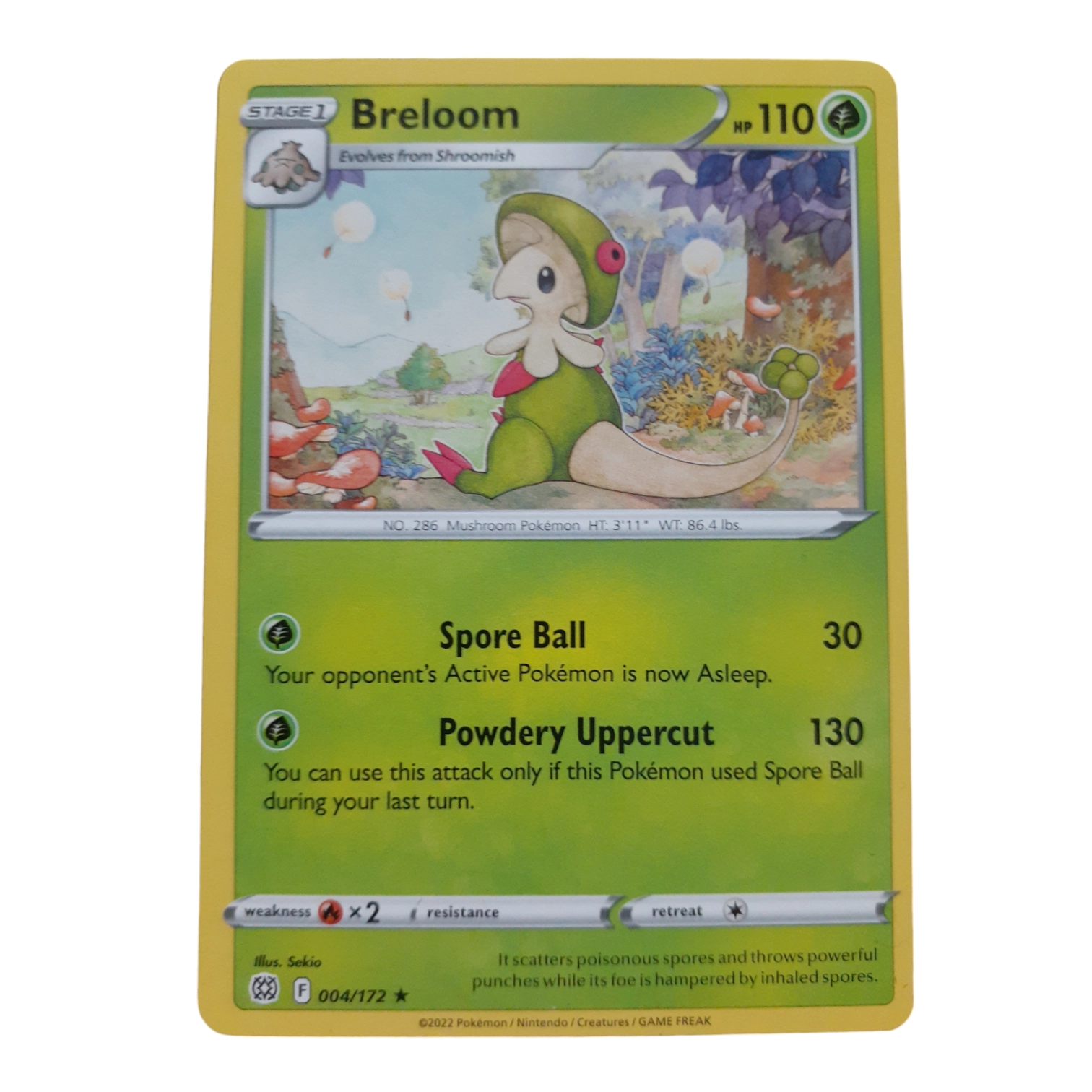 004/172 - Breloom