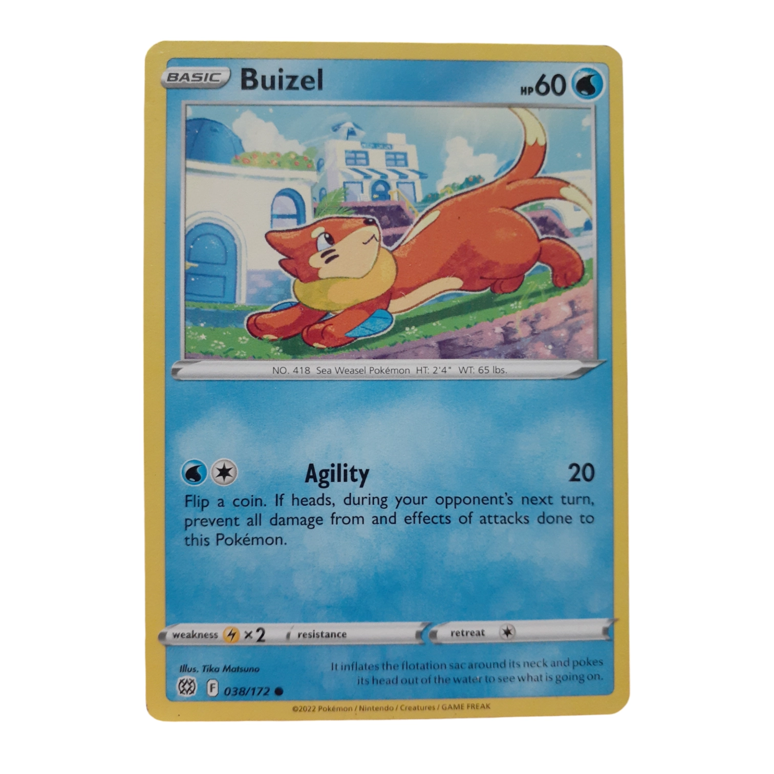 038/172 - Buizel