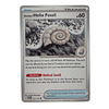 153/165 - Antique Helix Fossil