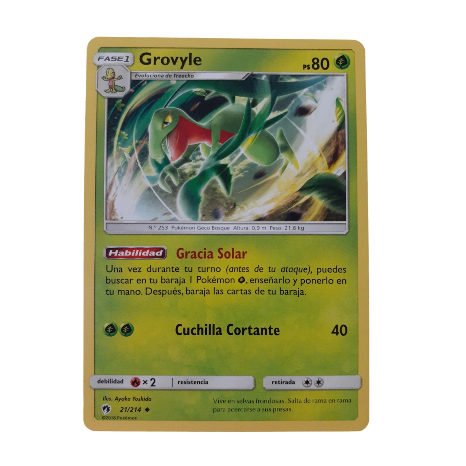 21/214 - Grovyle (español)