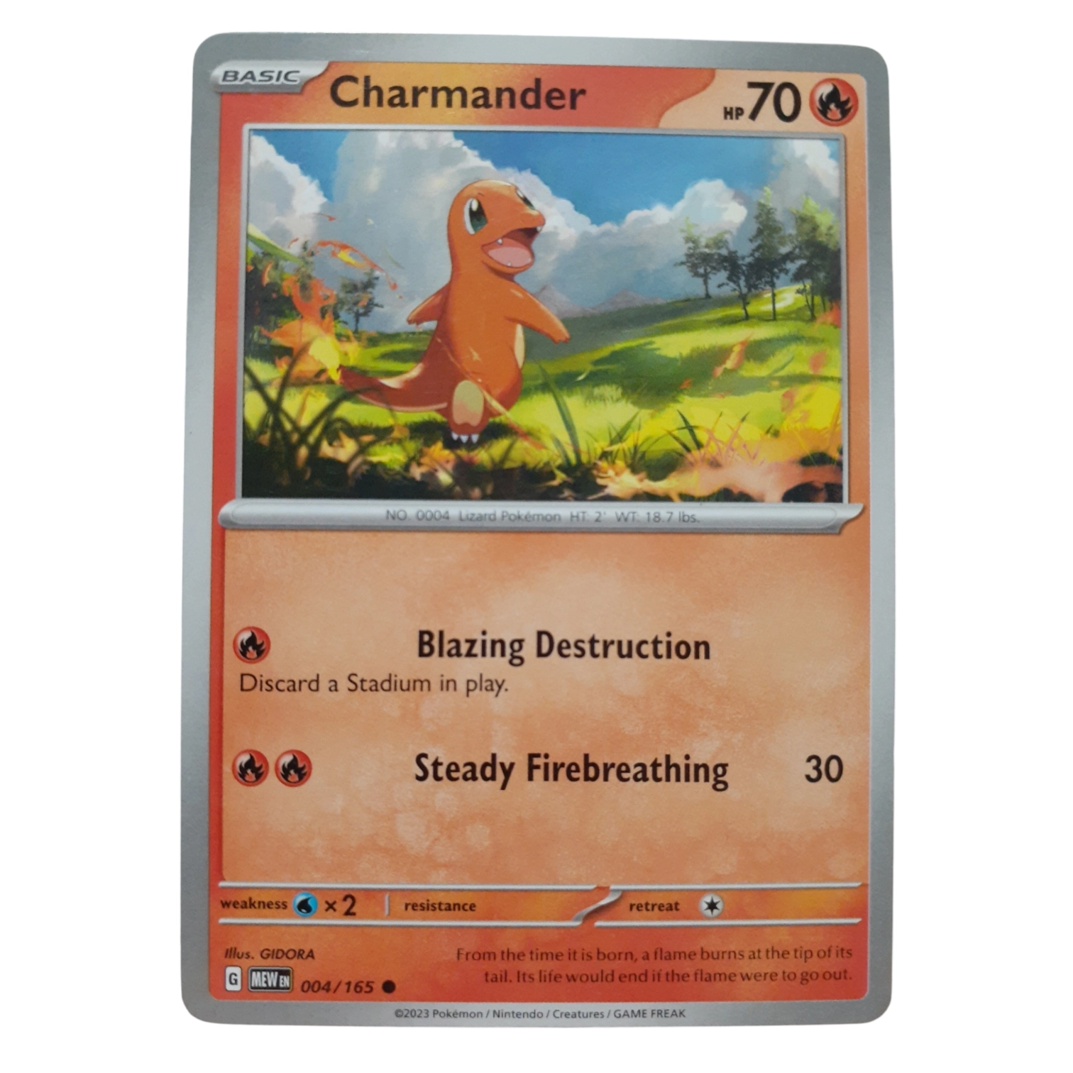 004 165 Charmander 004 165 Charmander