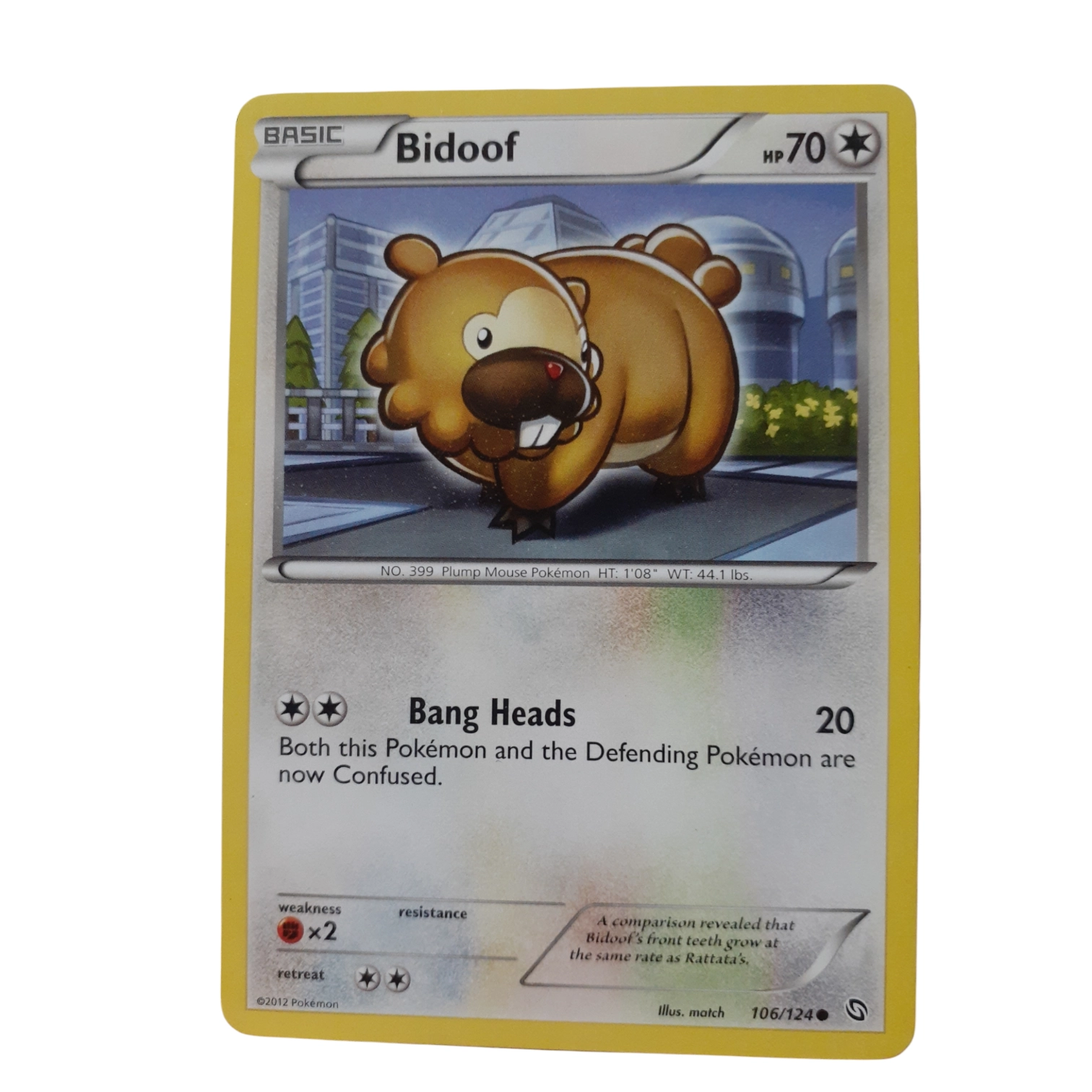 106/124 - Bidoof