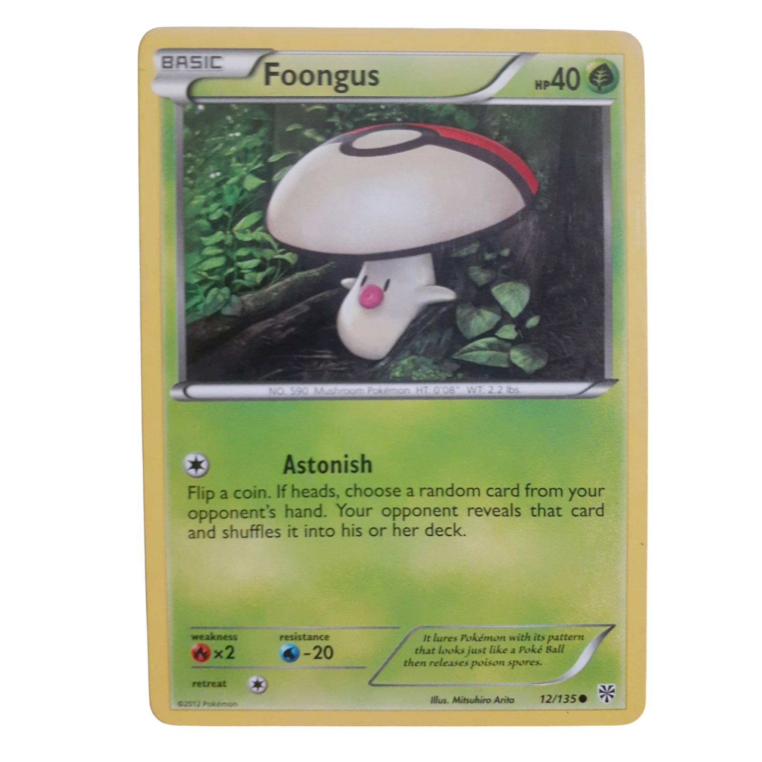 12/135 - Foongus