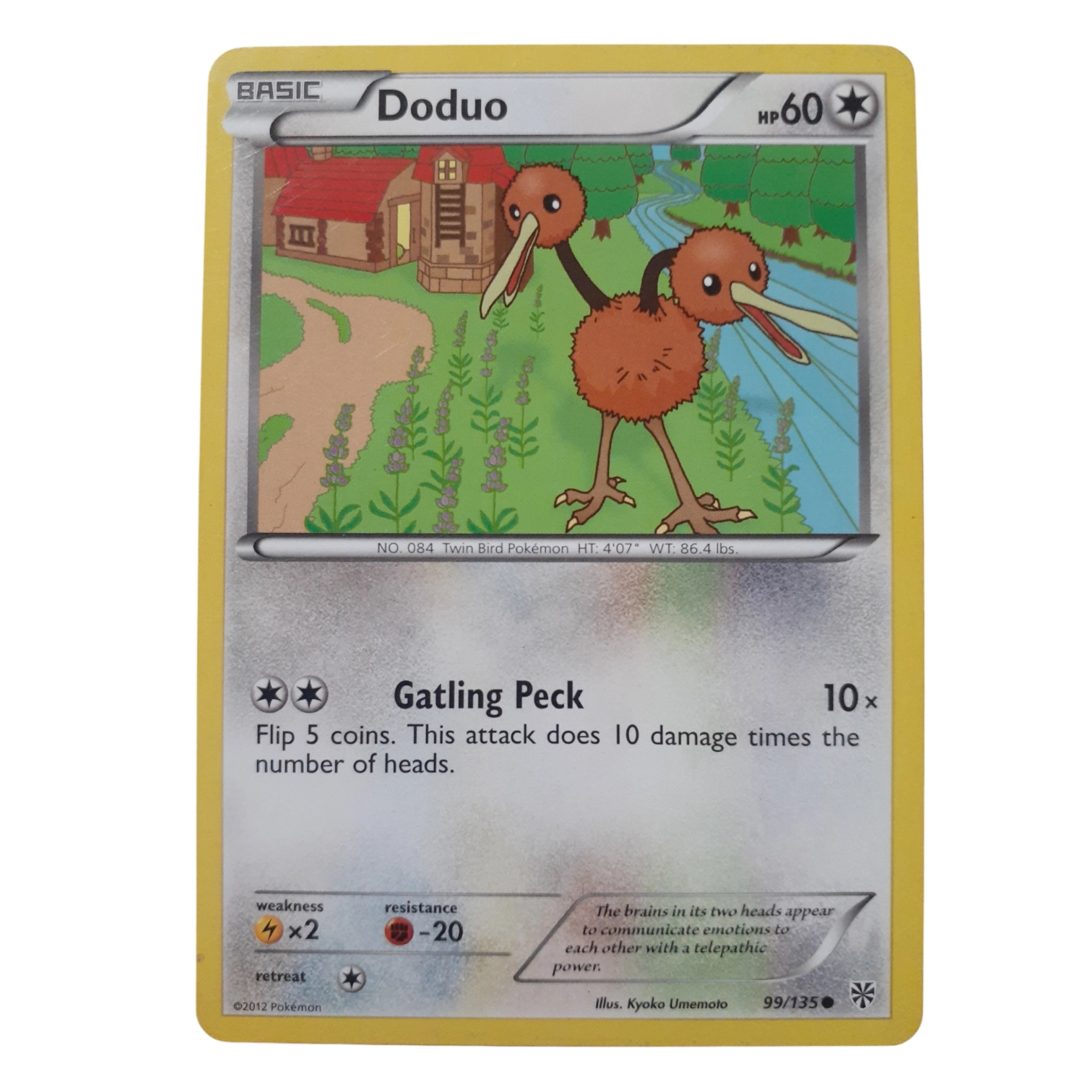 99/135 - Doduo
