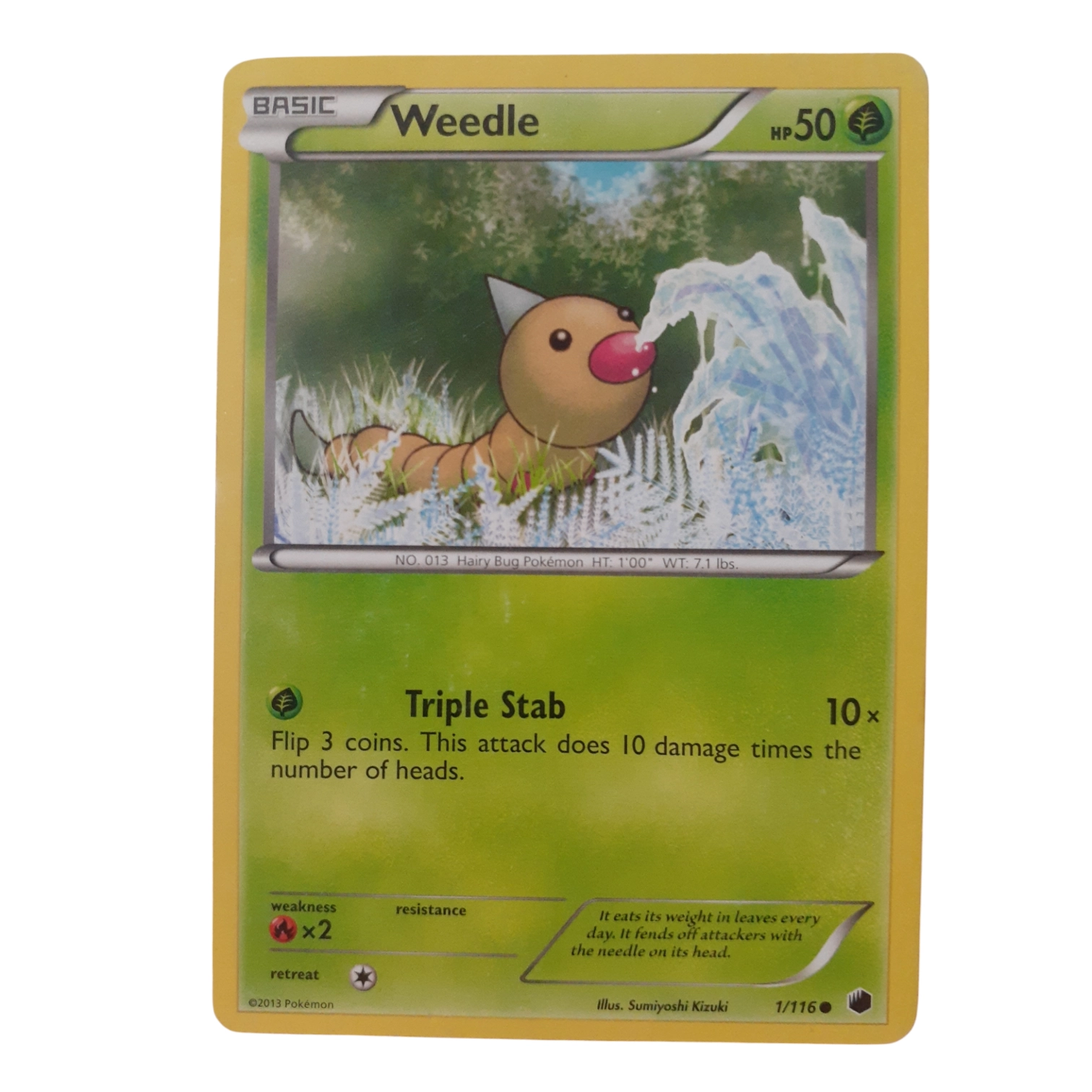 1/116 - Weedle