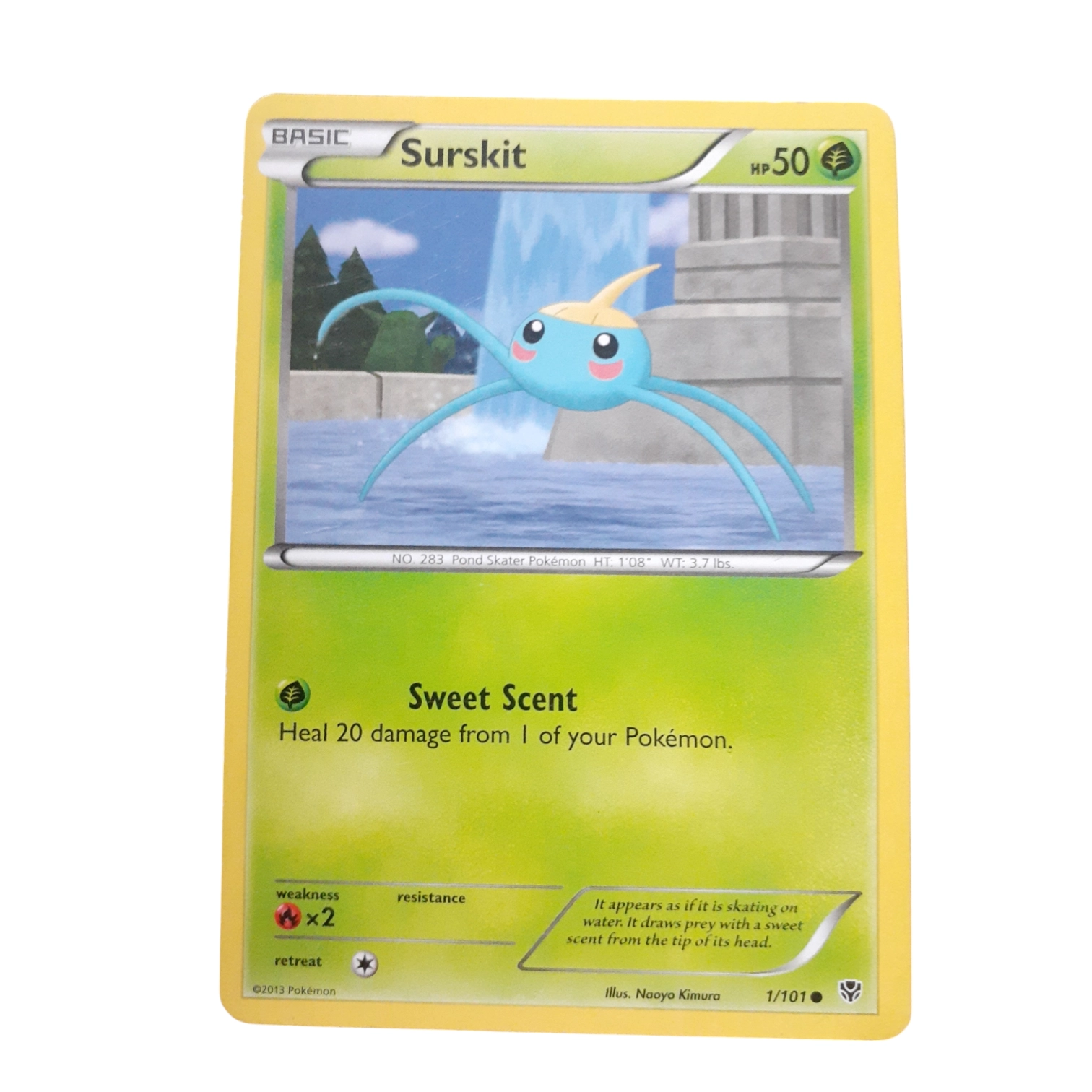 1/101 - Surskit