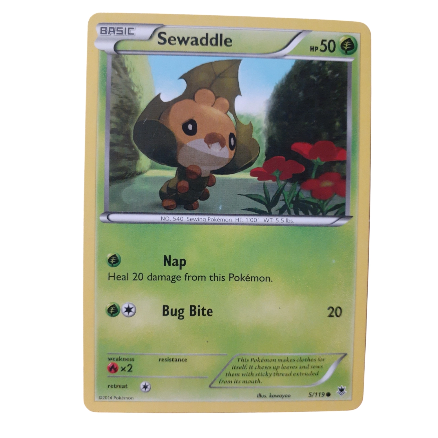 5/119 - Sewaddle