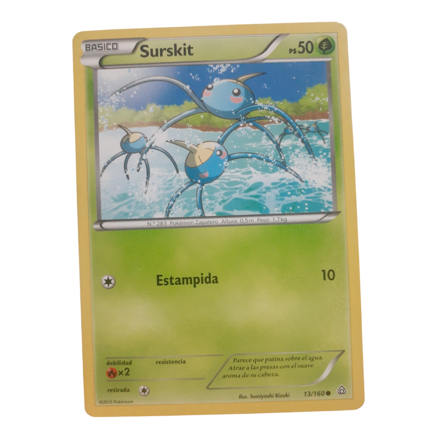 13/160 - Surskit (español)