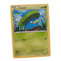 10/160 - Lotad