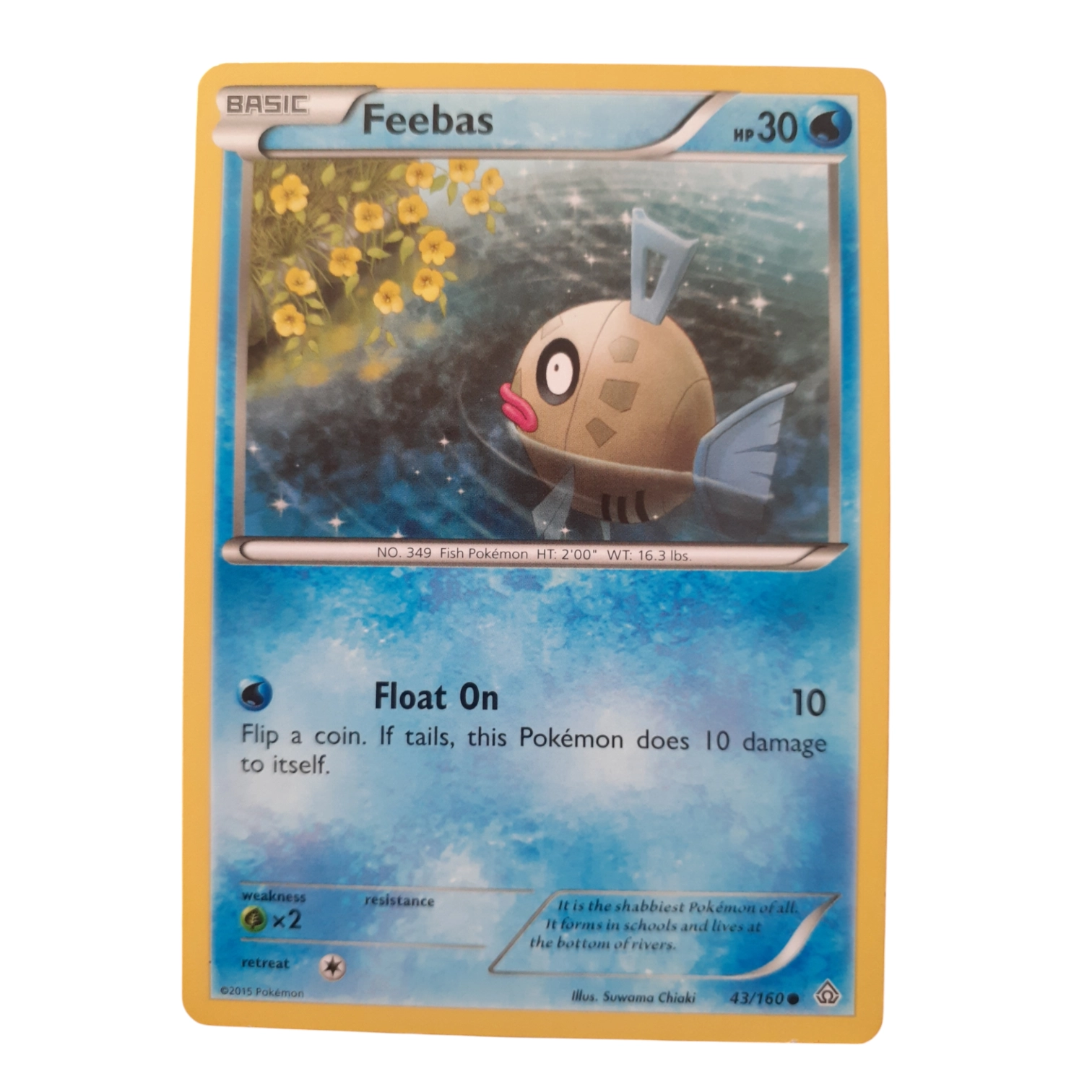 43/160 - Feebas