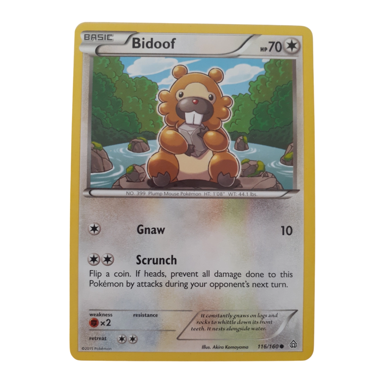 116/160 - Bidoof