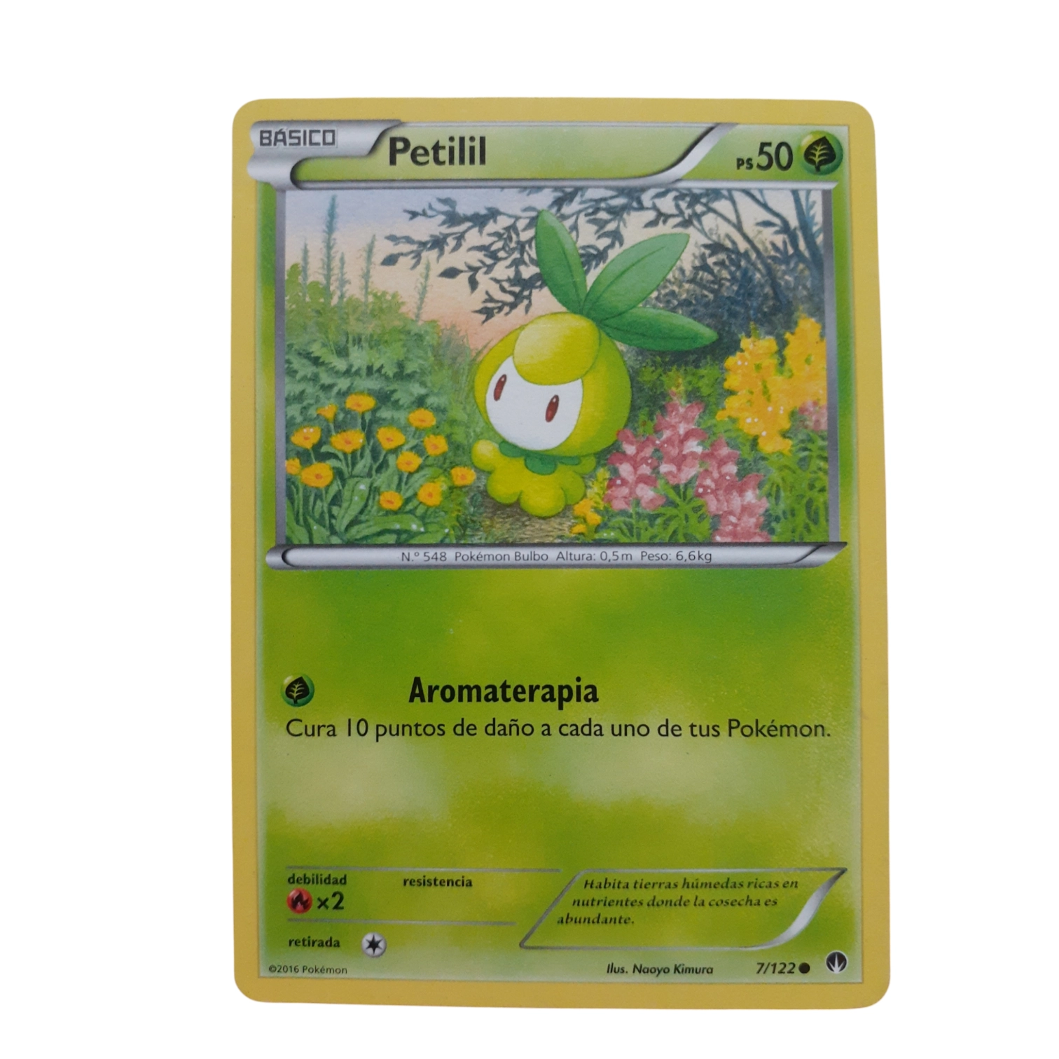 7/122 - Petilil (español)