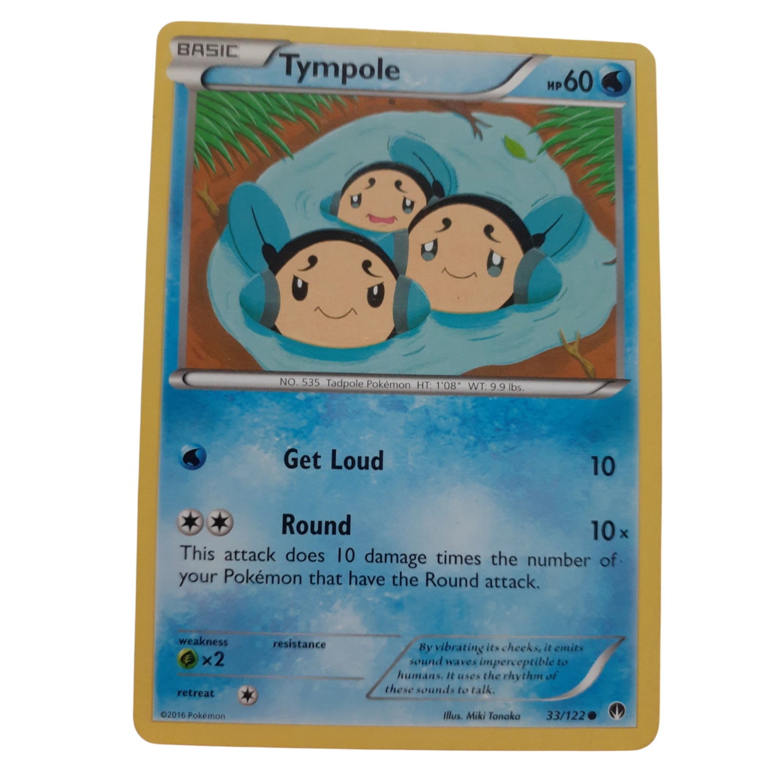33/122 - Tympole (español)