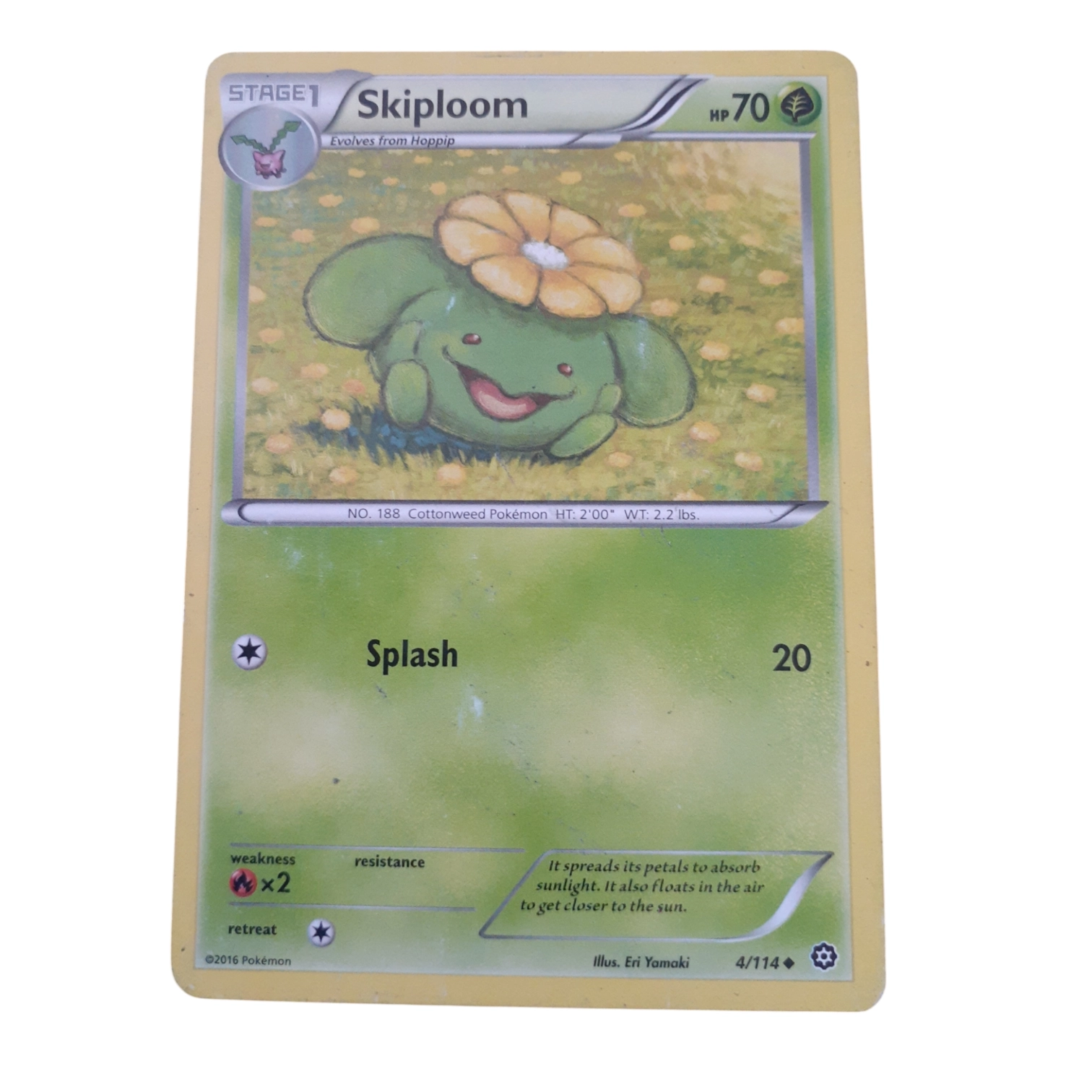 4/114 - Skiploom