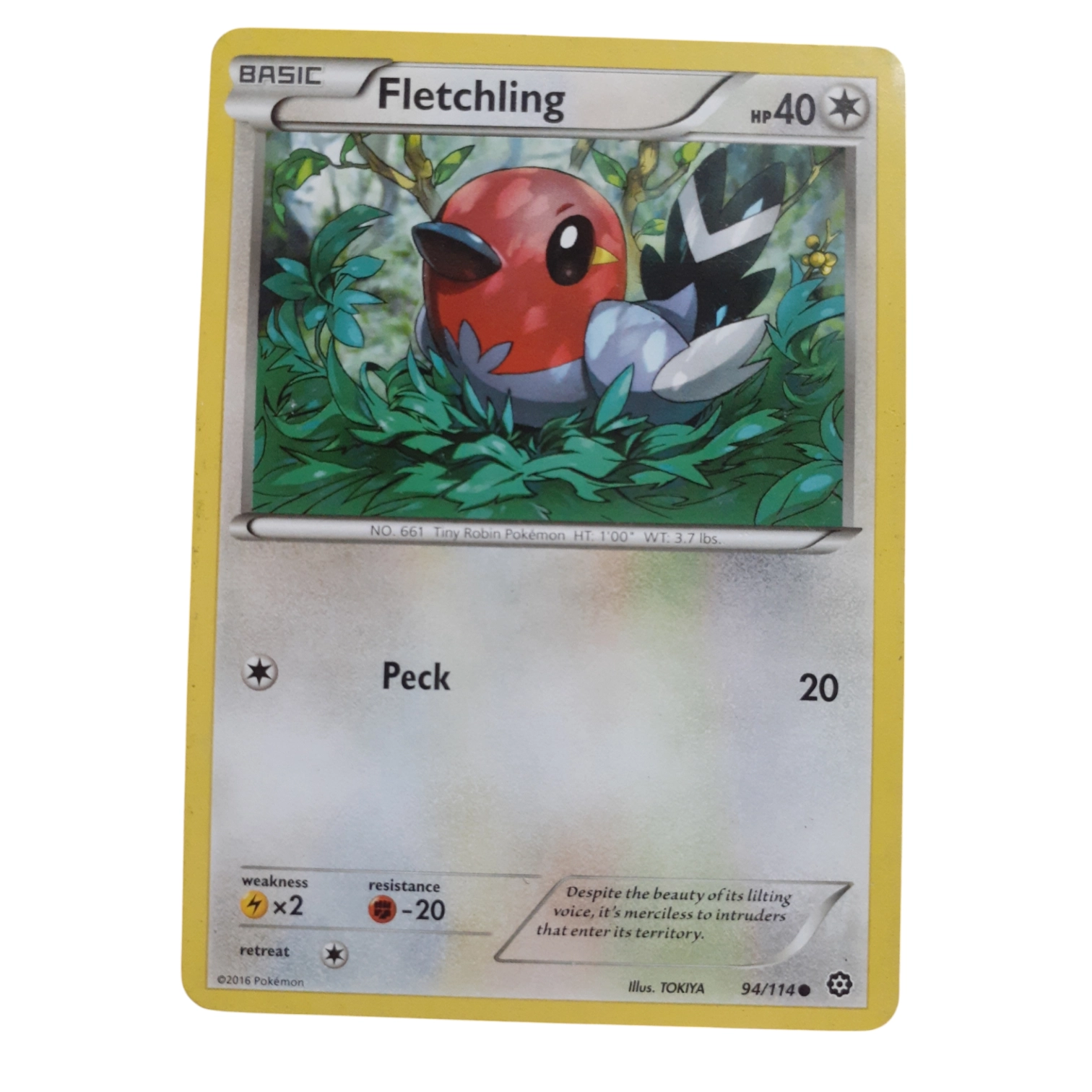 94/114 - Fletchling