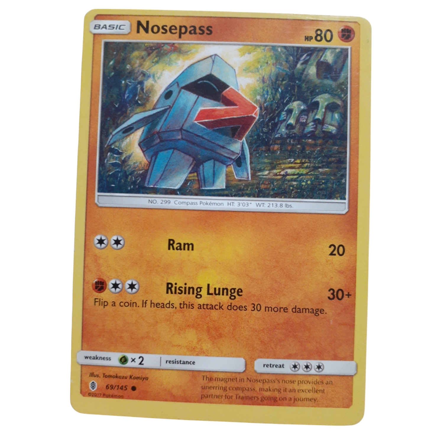 69/145 - Nosepass