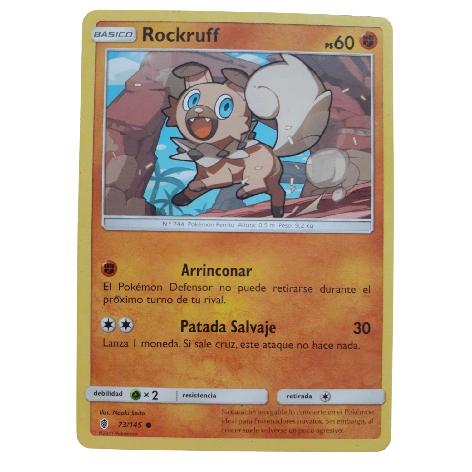 73/145 - Rockruff (español)