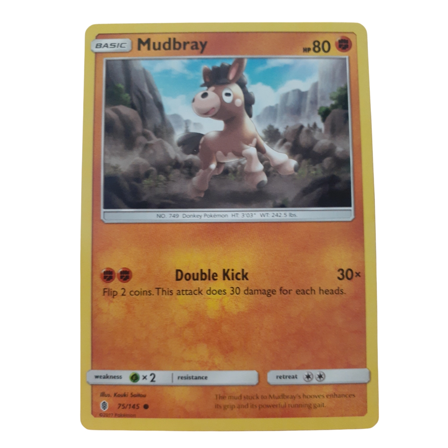 75/145 - Mudbray