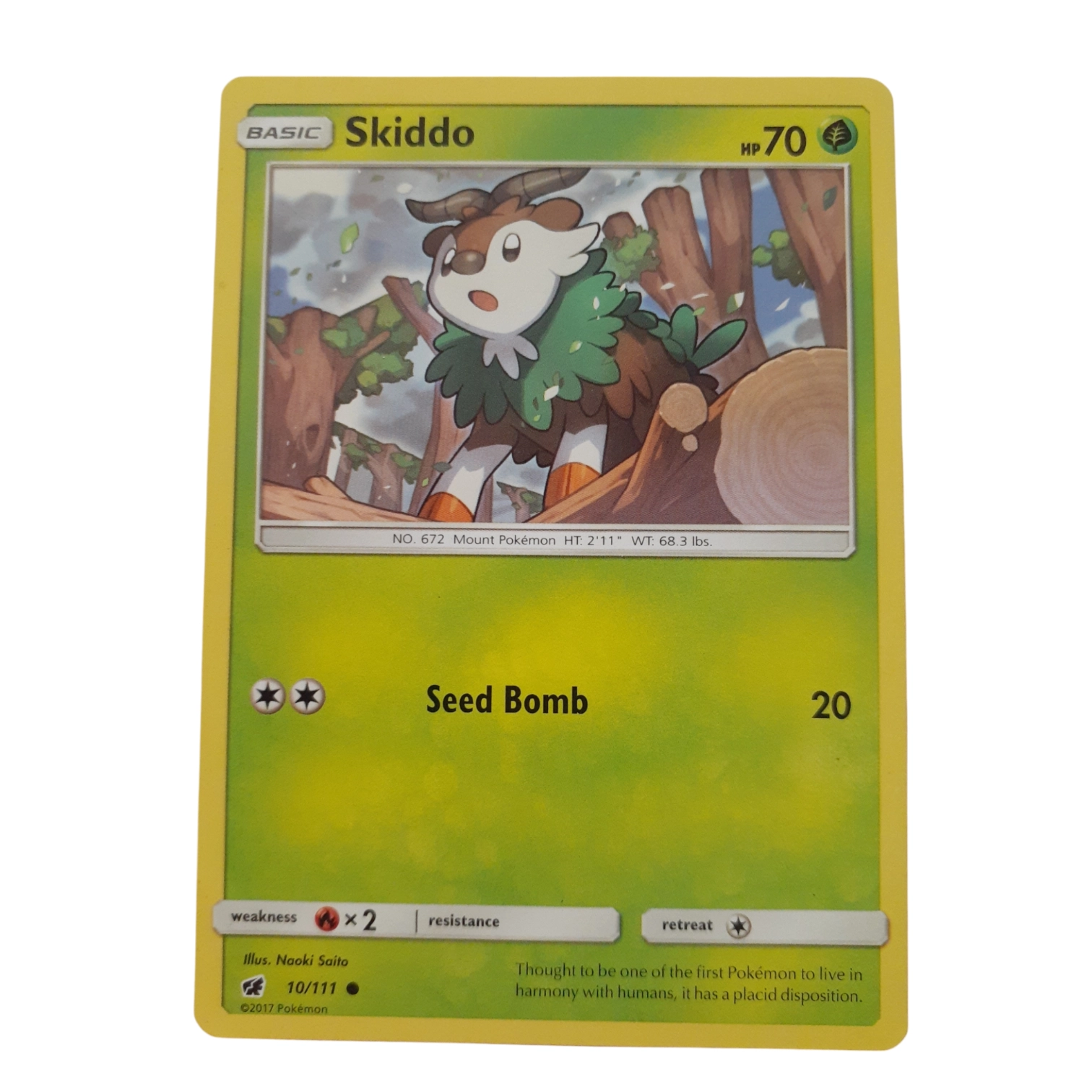 10/111 - Skiddo
