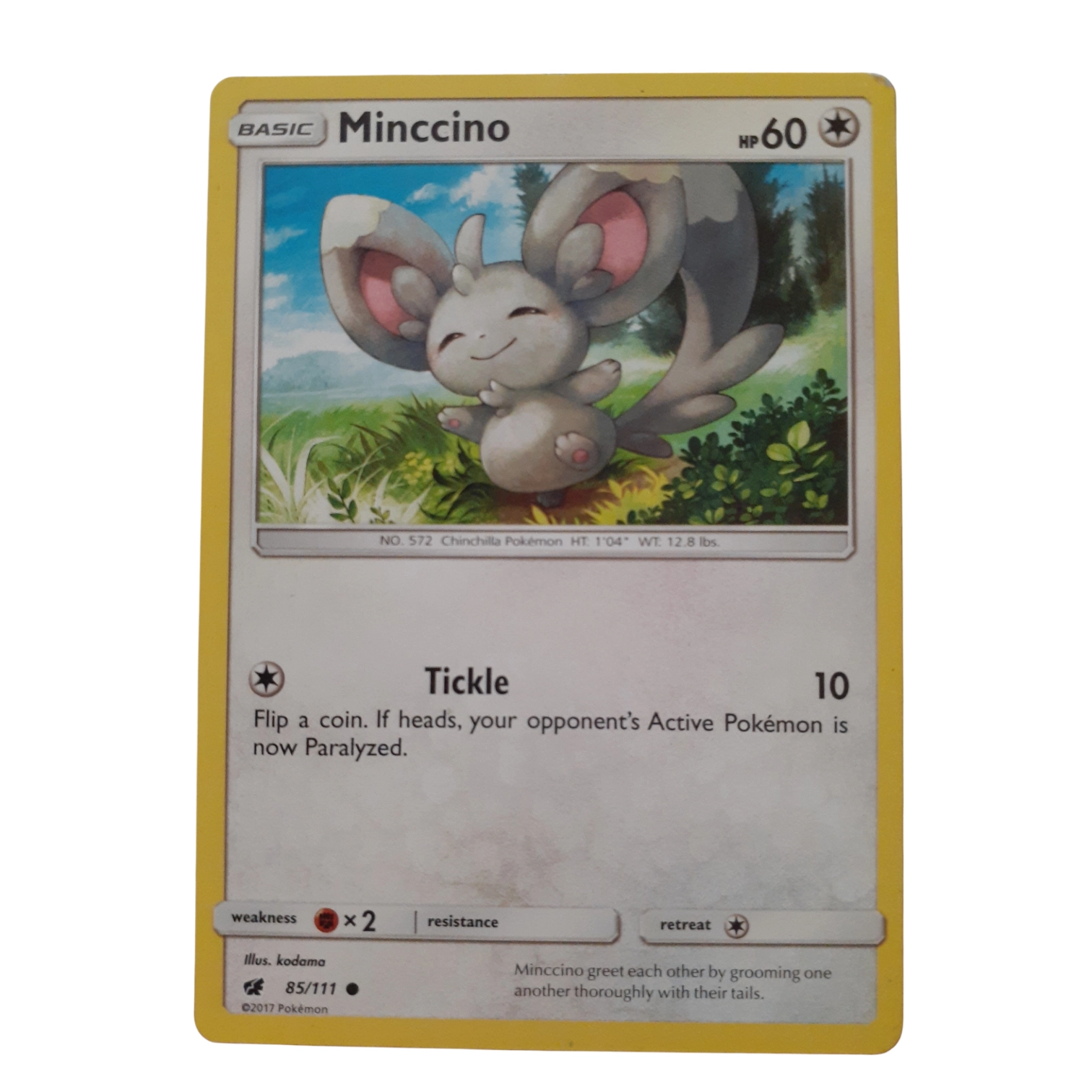 85/111 - Minccino