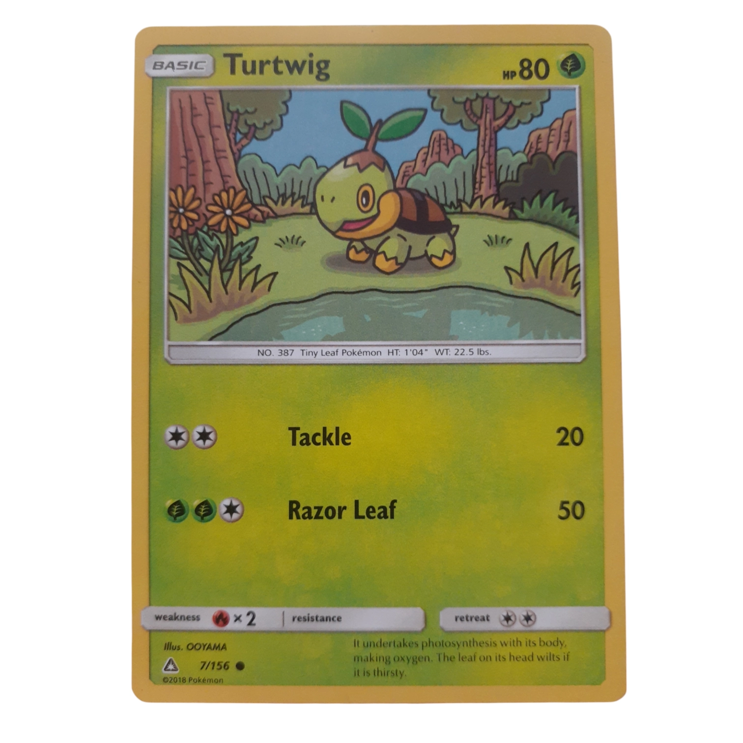 7/156 - Turtwig