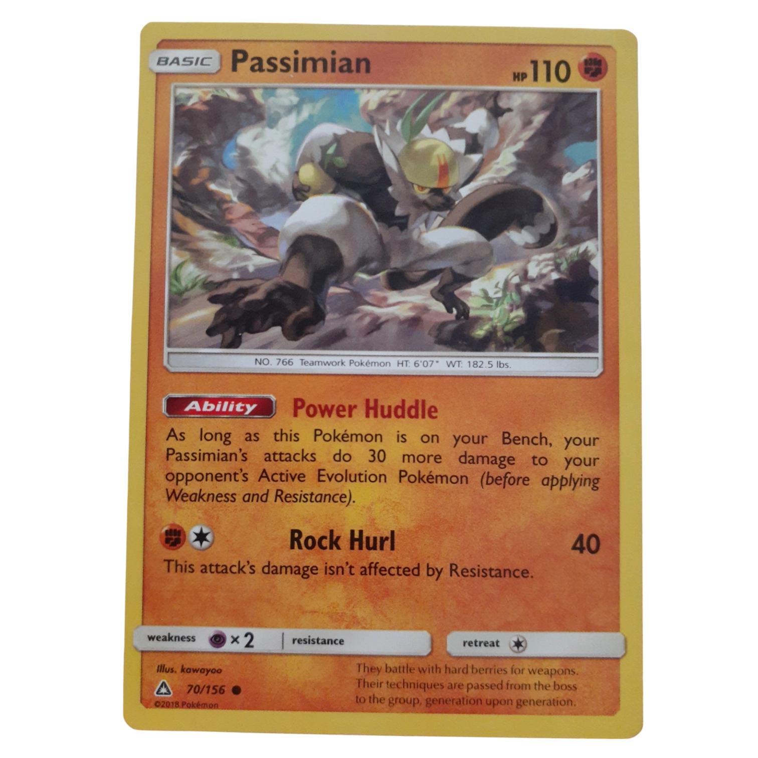 70/156 - Passimian