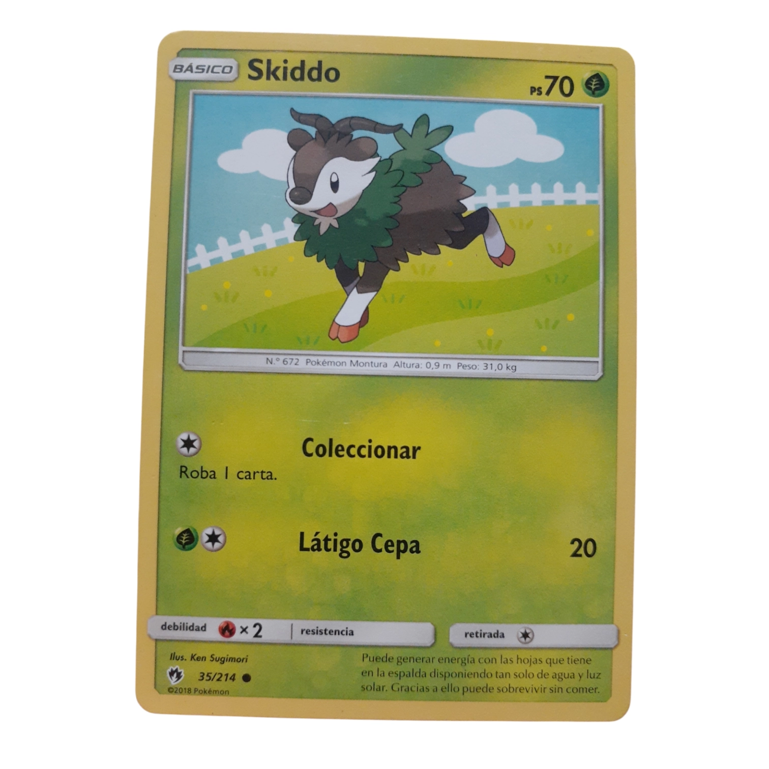 35/214 - Skiddo (español)
