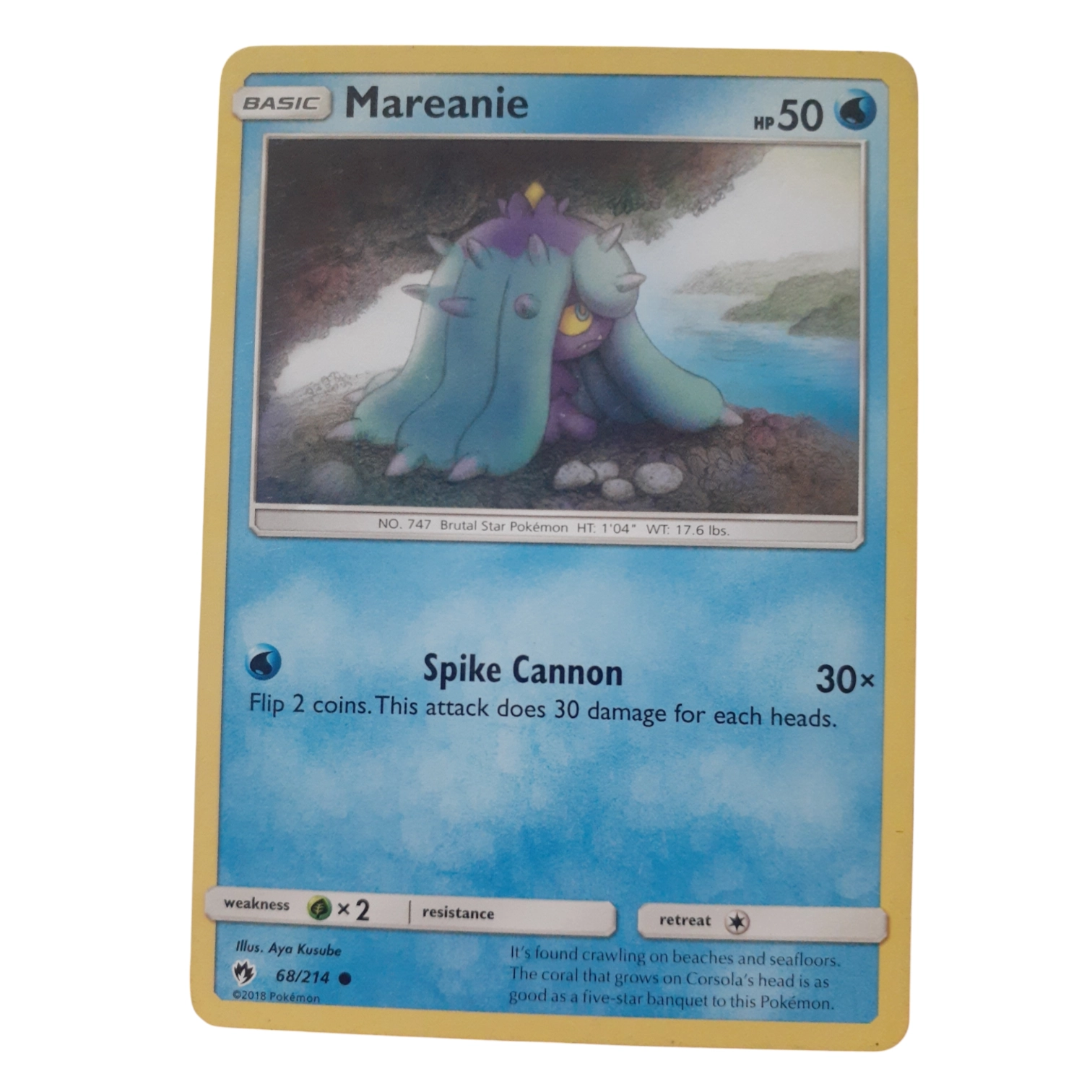 68/214 - Mareanie