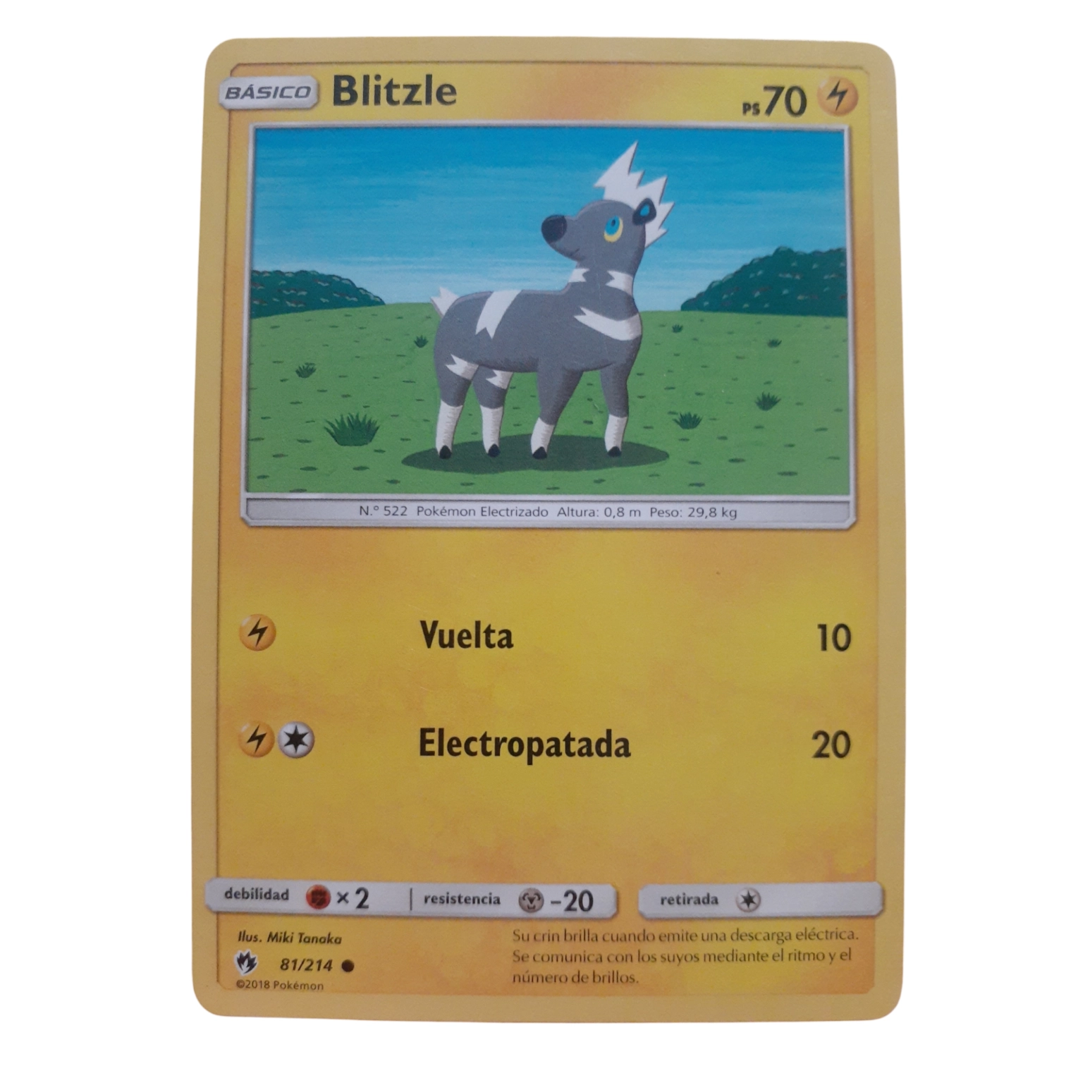 81/214 - Blitzle (español)