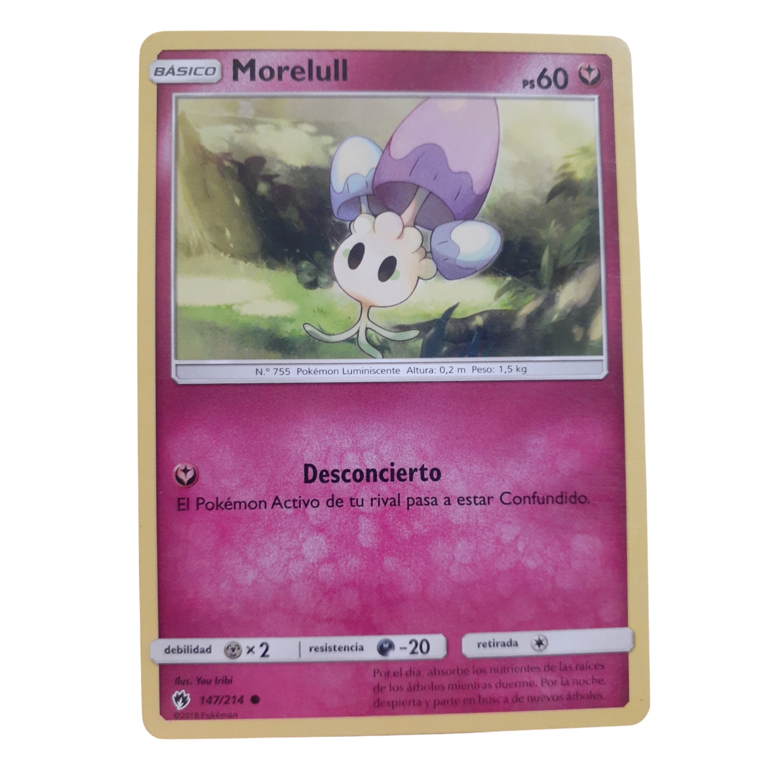 147/214 - Morelull (español)