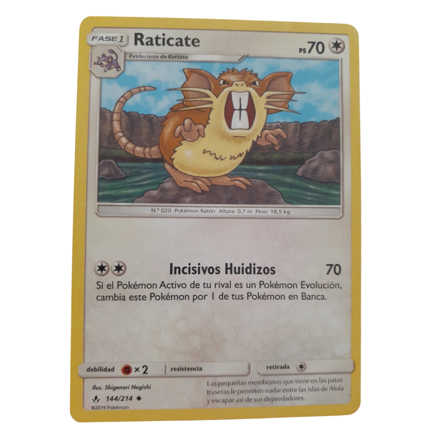 144/214 - Raticate (español)
