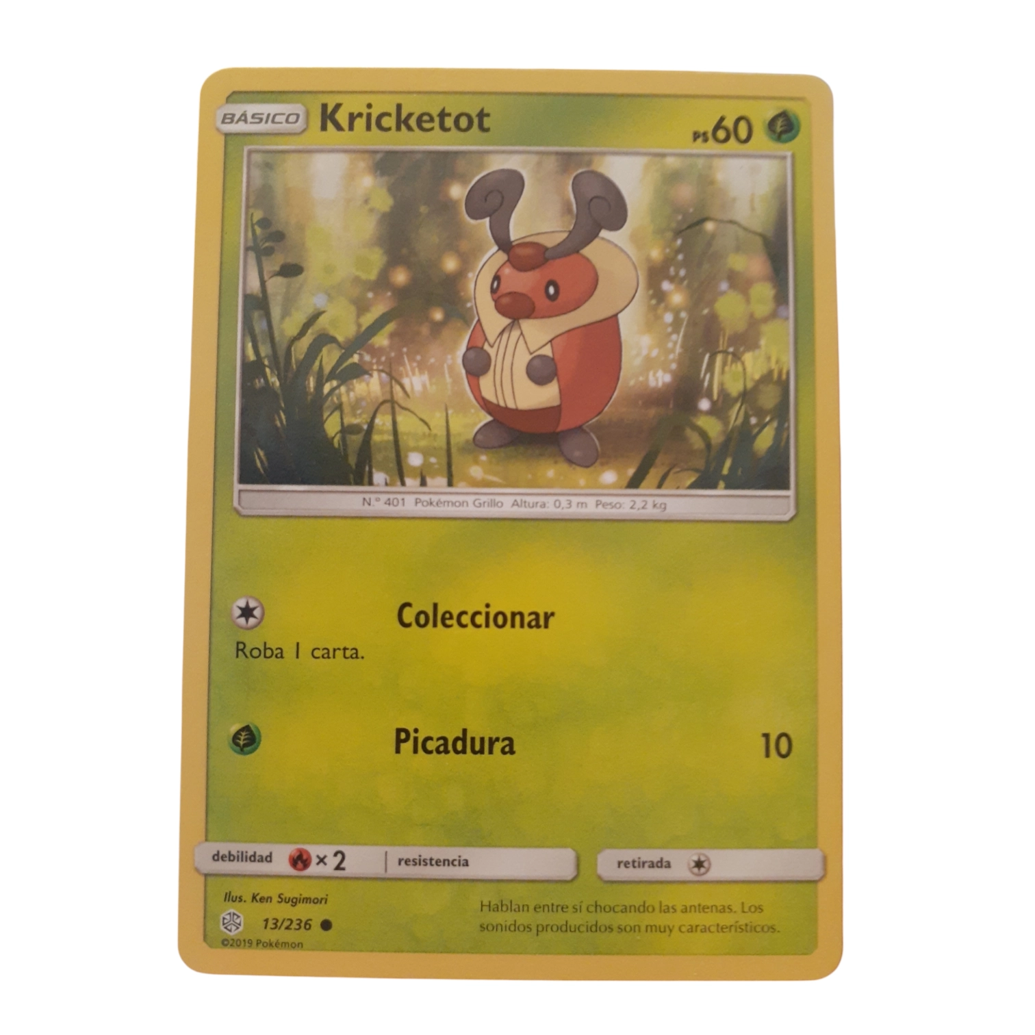 13/236 - Kricketot (español)