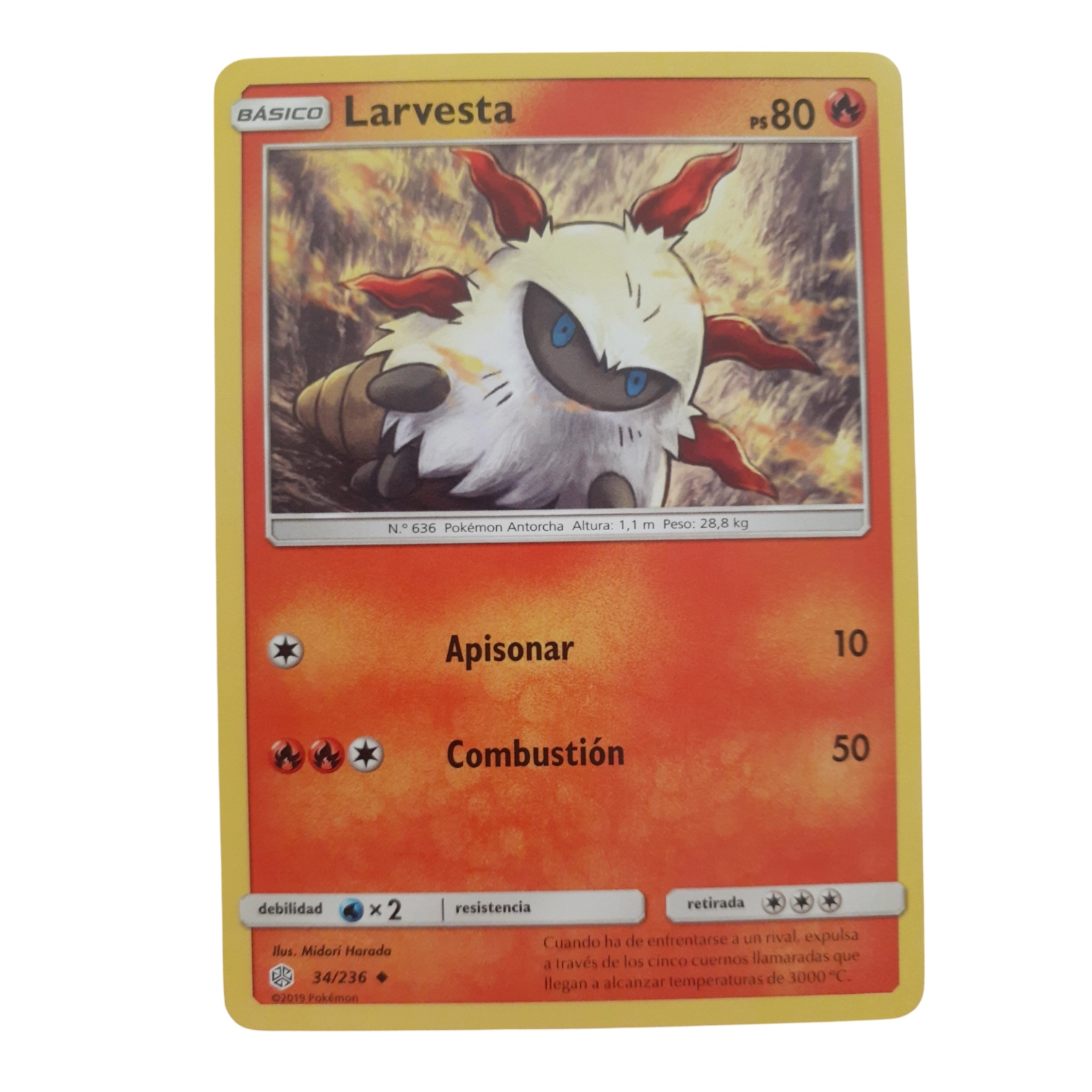 34/236 - Larvesta (español)