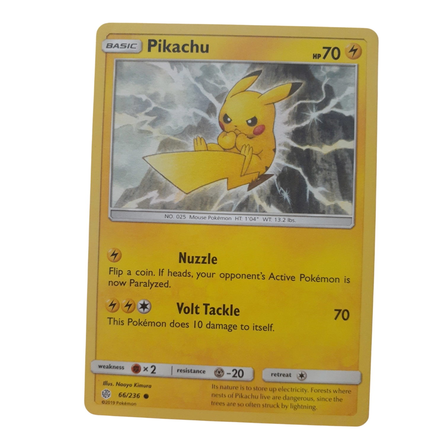 66/236 - Pikachu