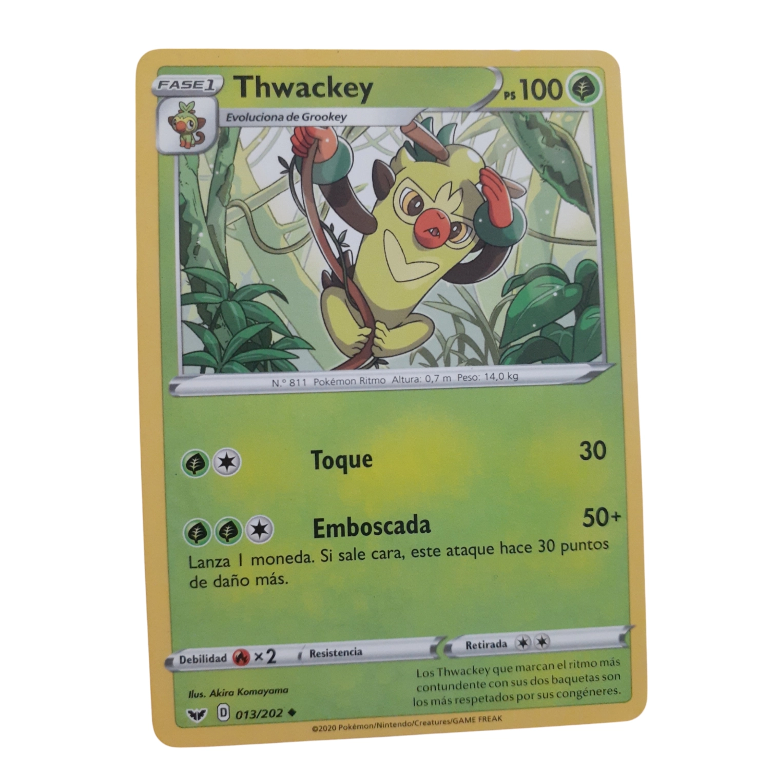 013/202 - Thwackey (español)