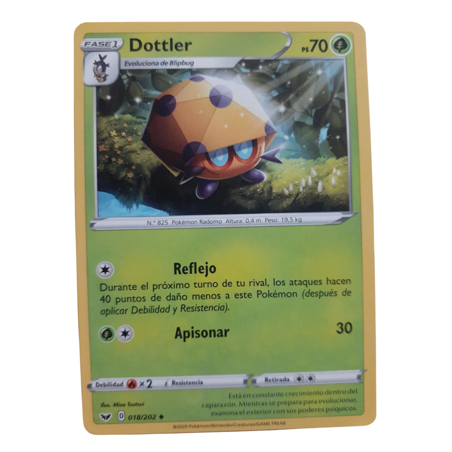 018/202 - Dottler (español)
