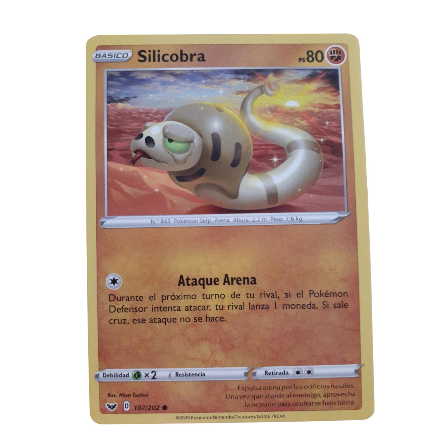 107/202 - Silicobra (español)