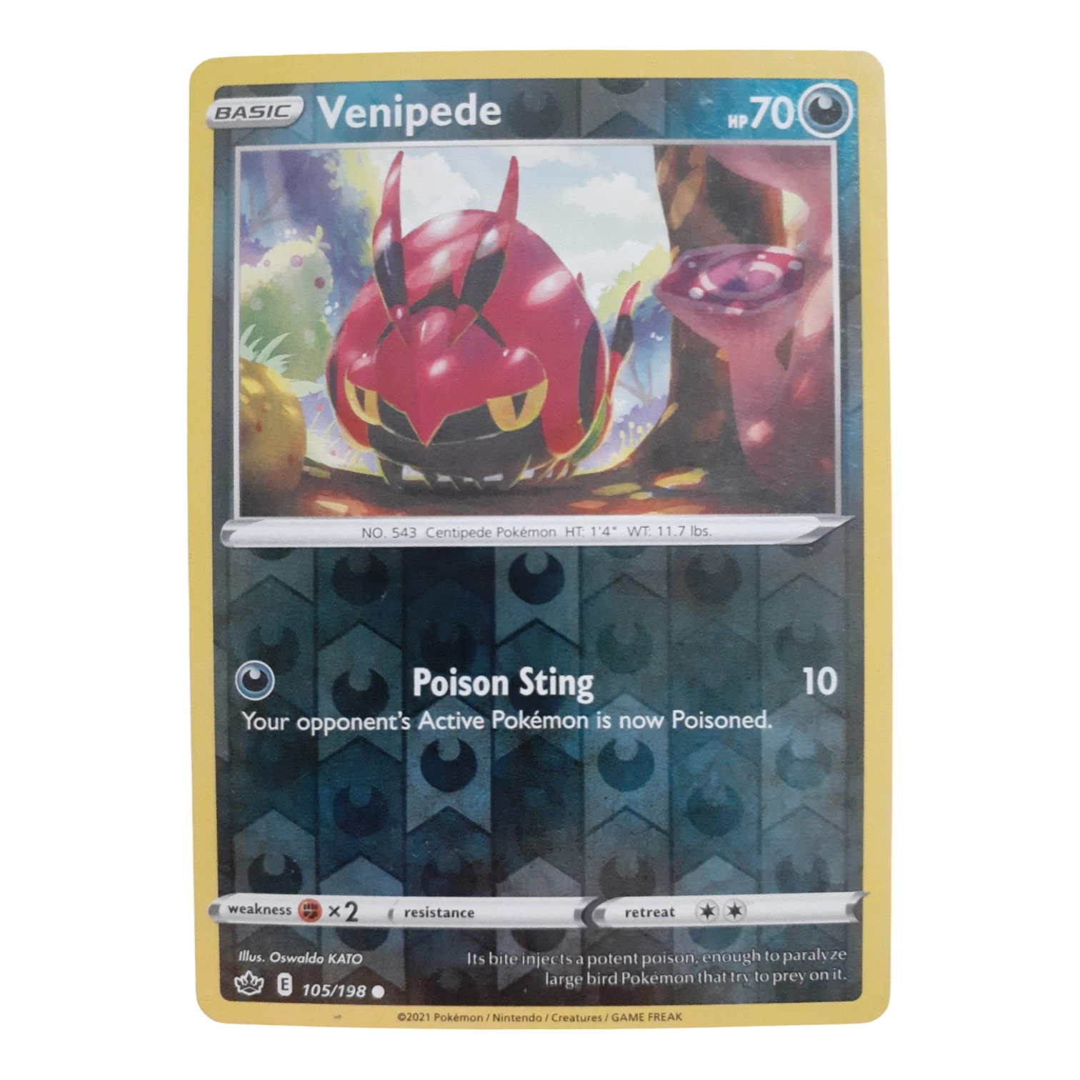105/198 - Venipede -Reverse Holo