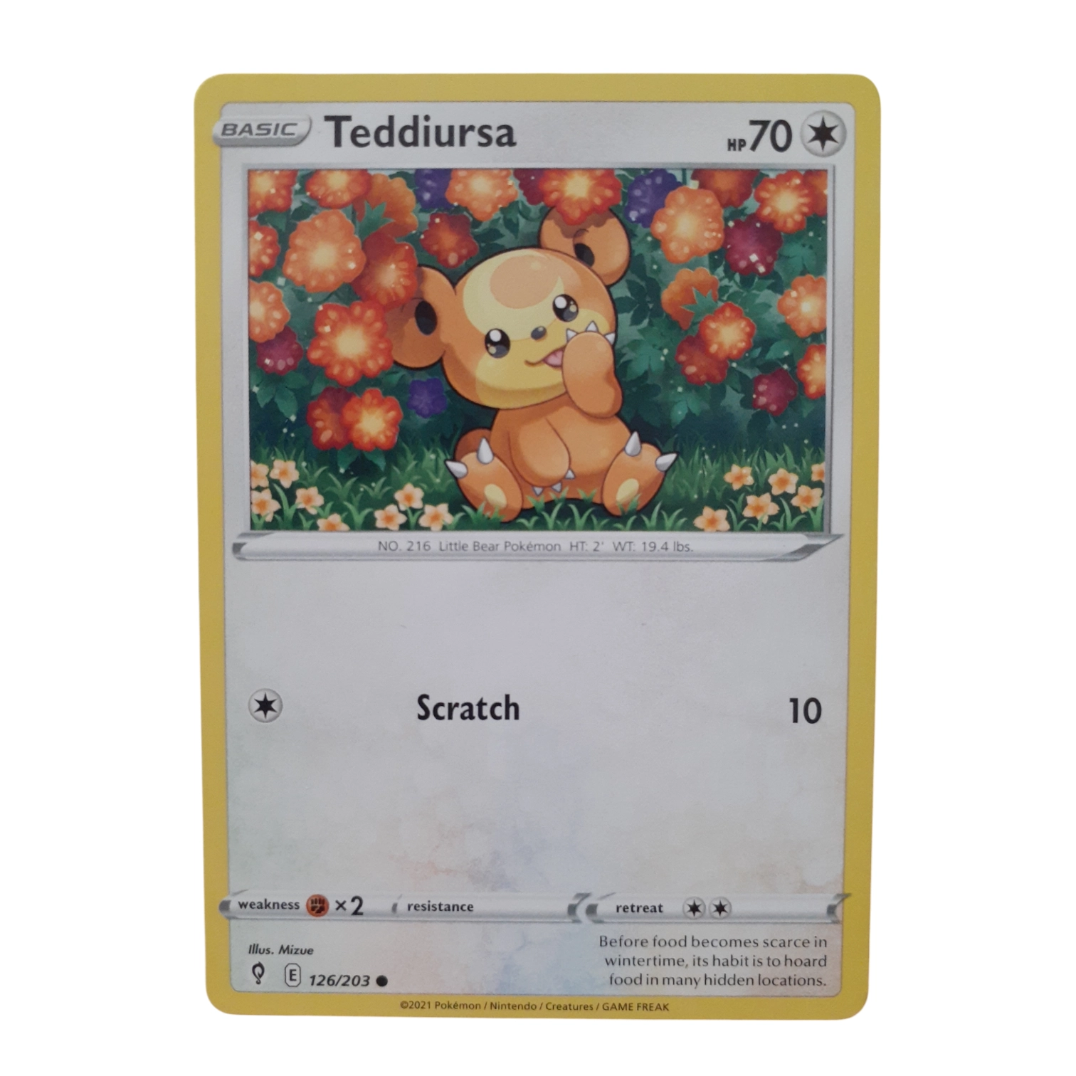 126/203 - Teddiursa