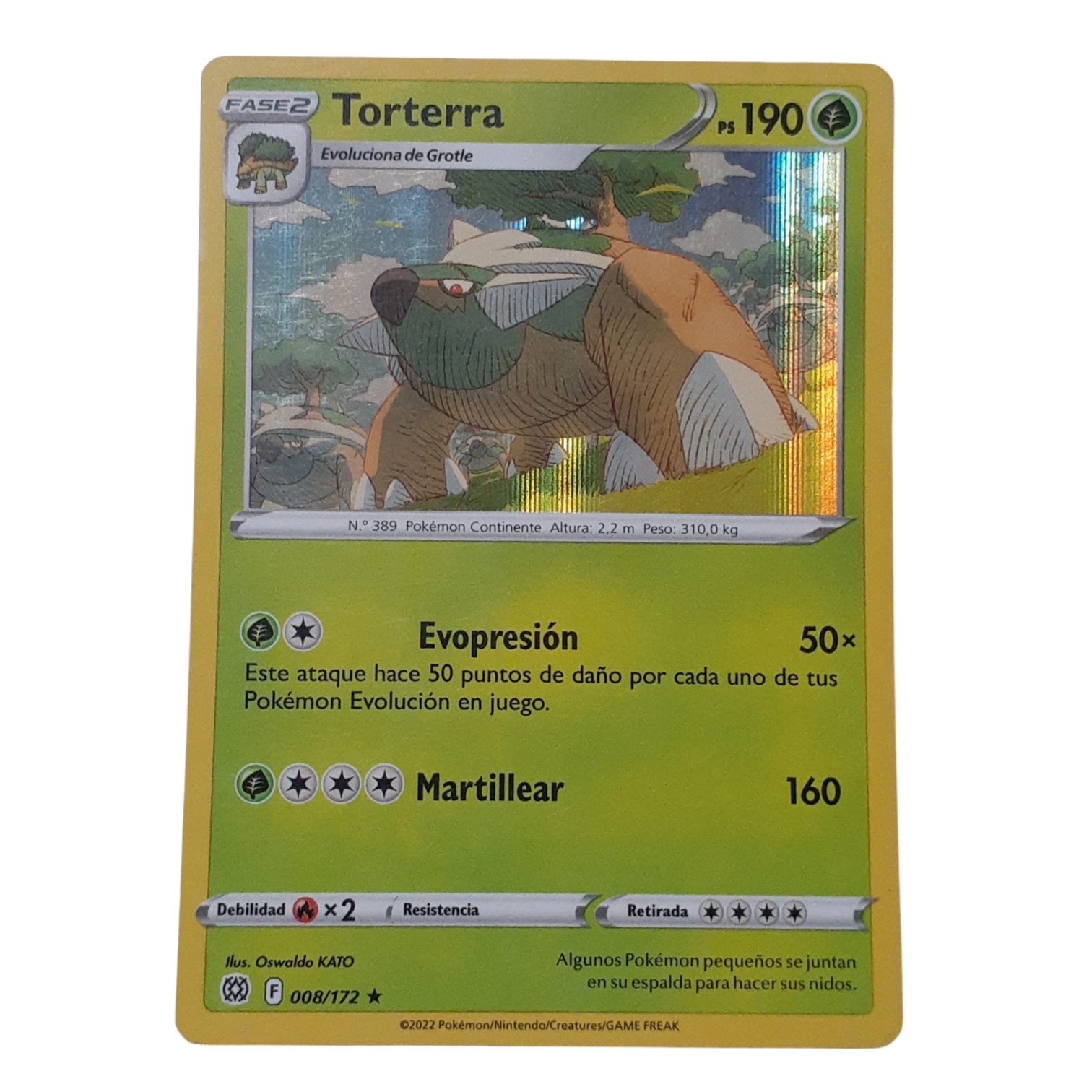 008/172 - Torterra -Holo (español)