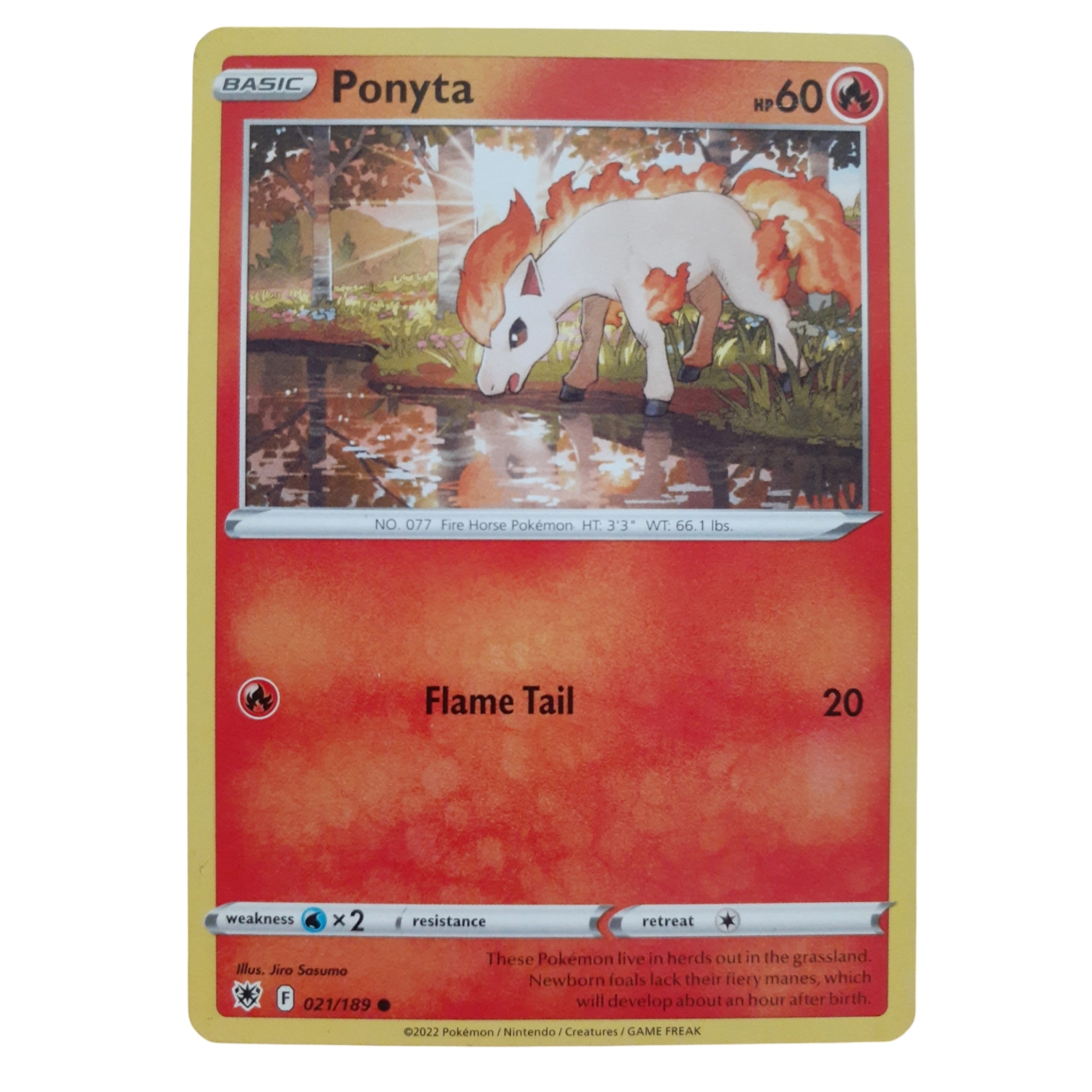021/189 - Ponyta