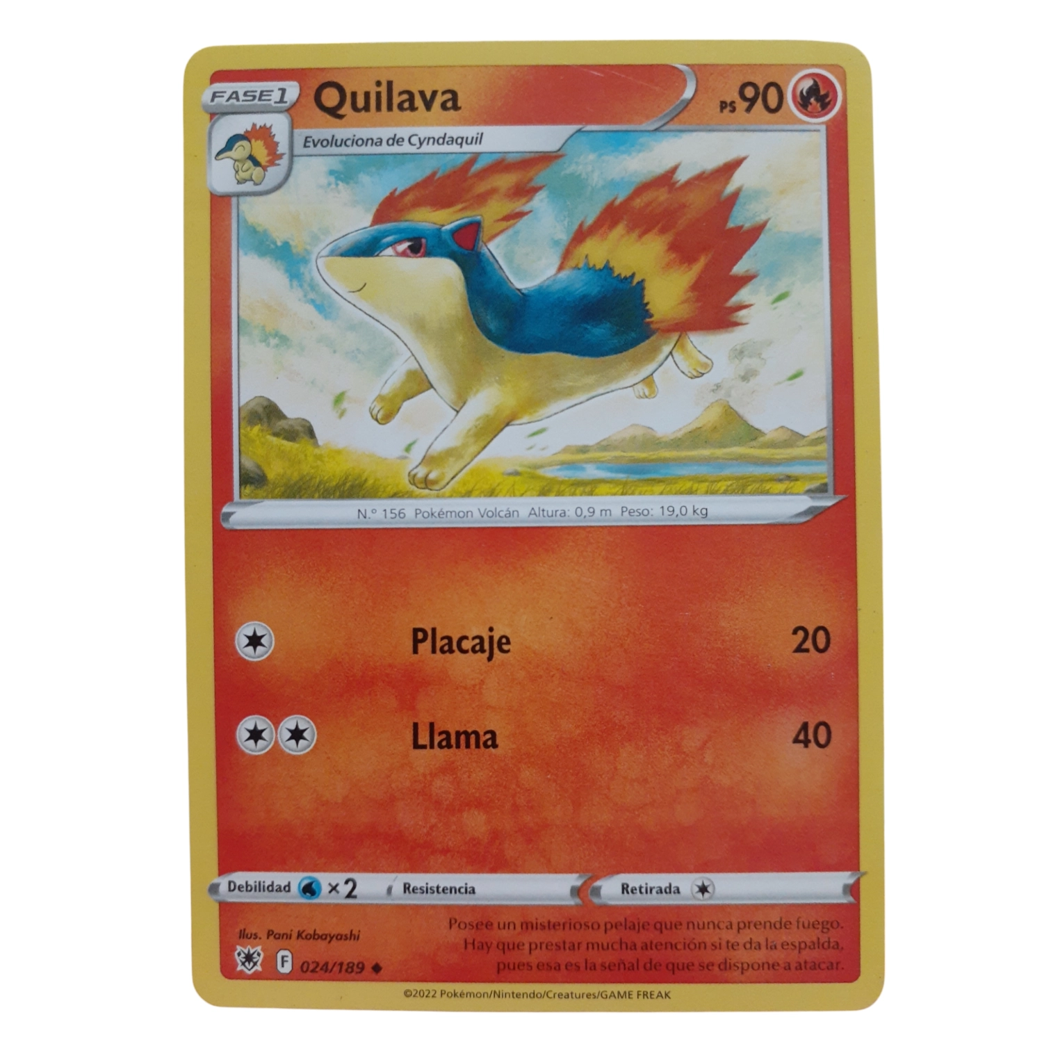 024/189 - Quilava (español)