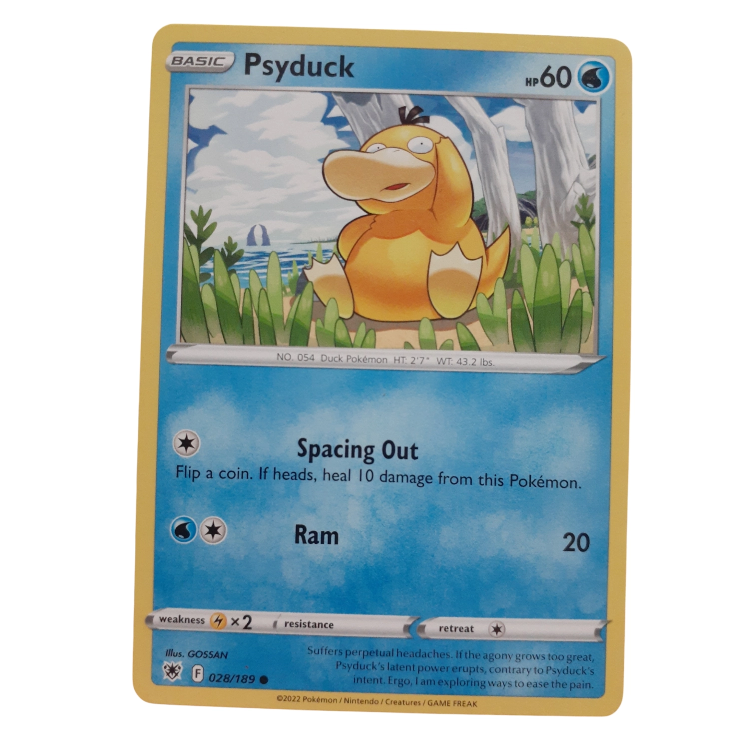 028/189 - Psyduck