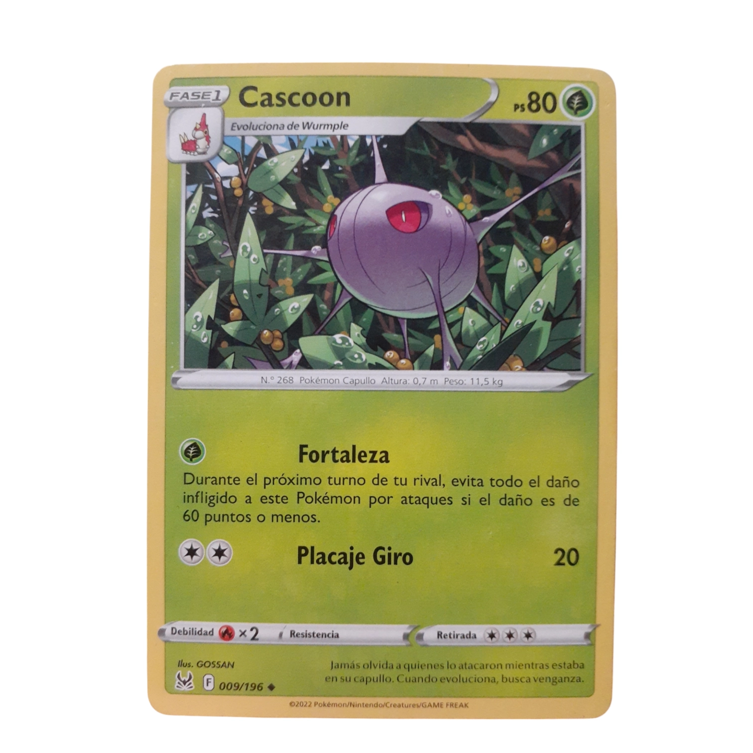 009/196 - Cascoon (español)