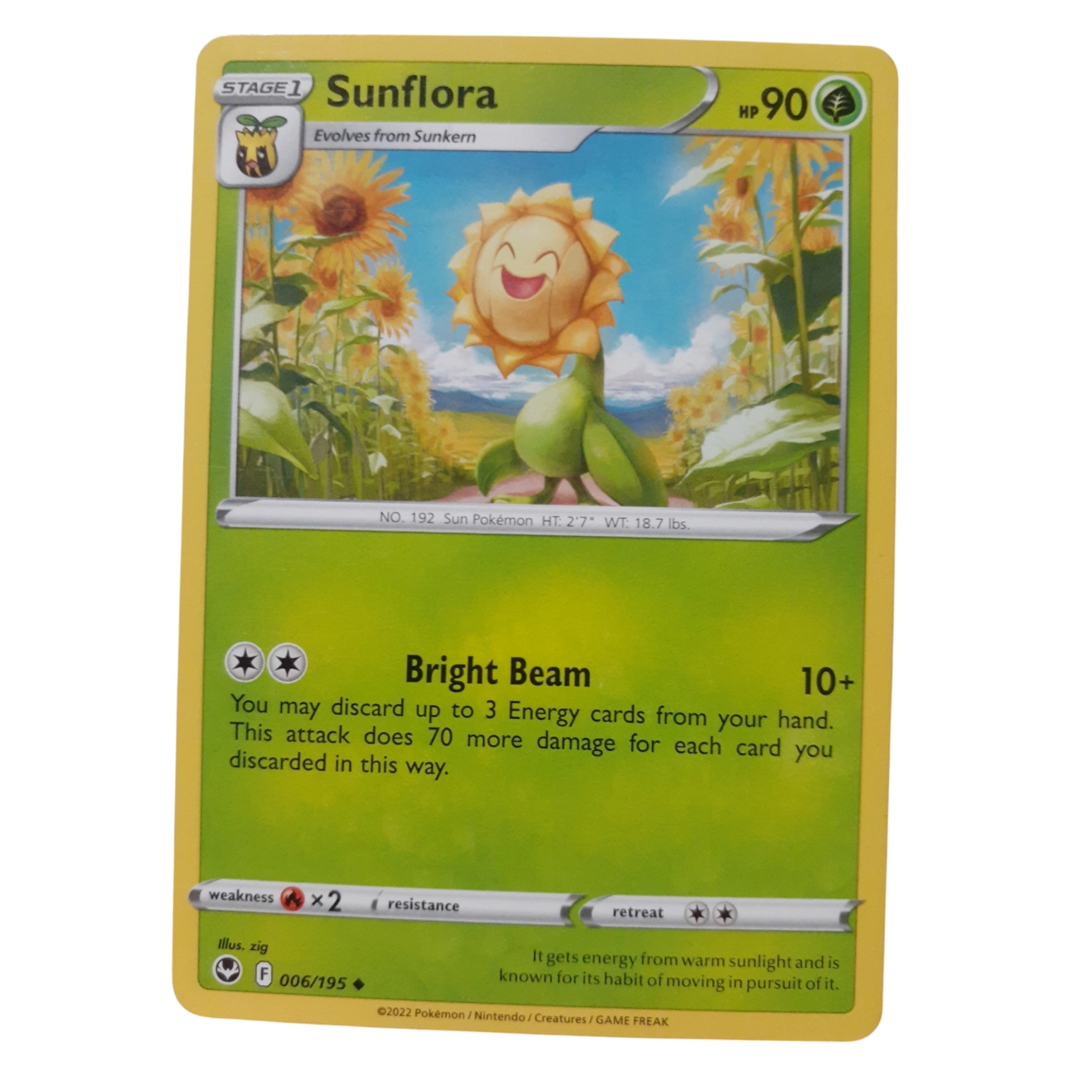 006/195 - Sunflora