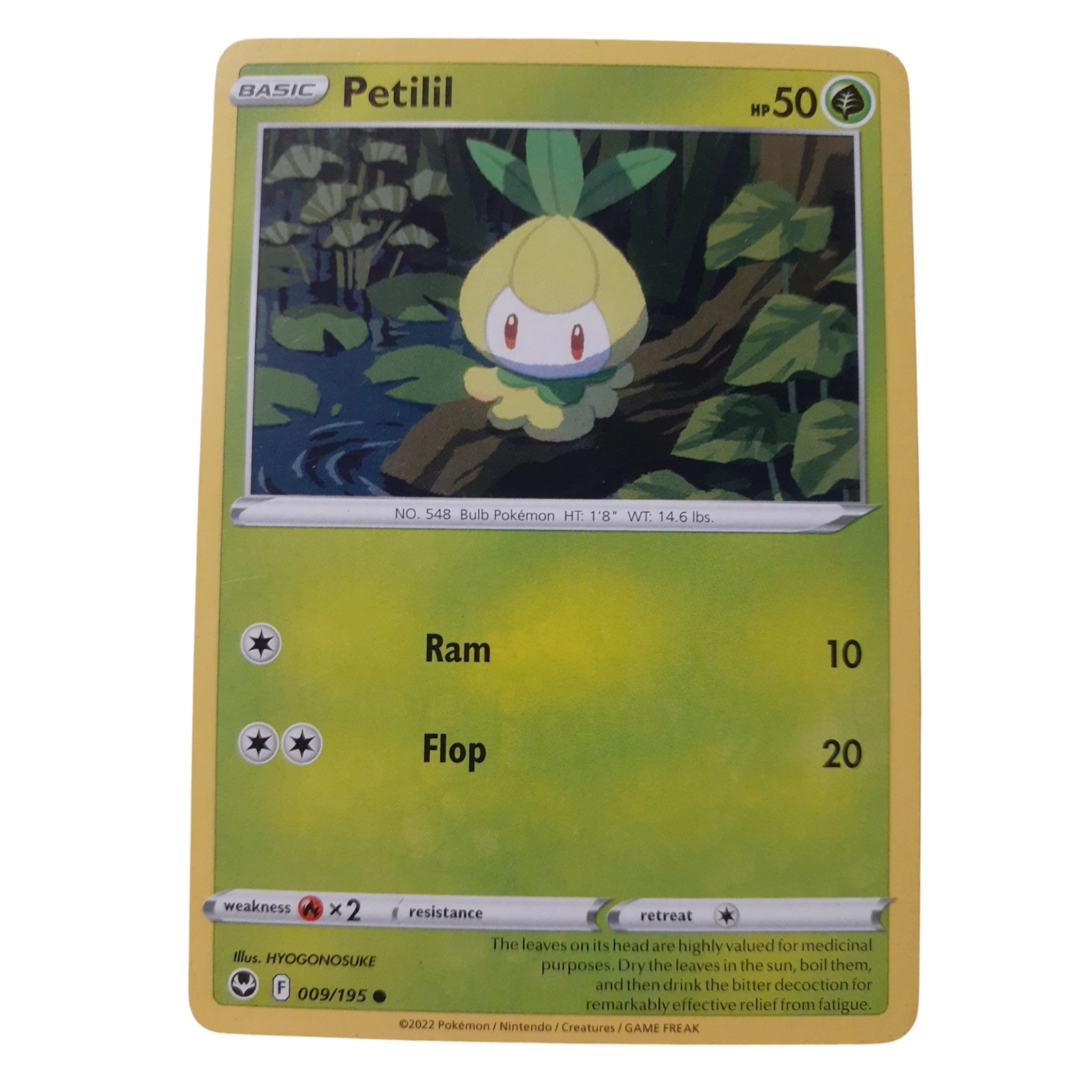 009/195 - Petilil