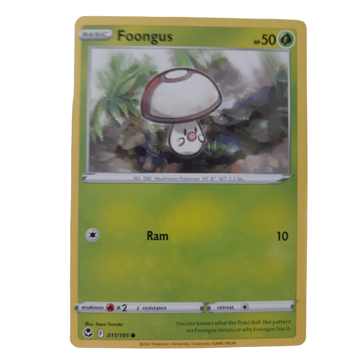 011/195 - Foongus (español)