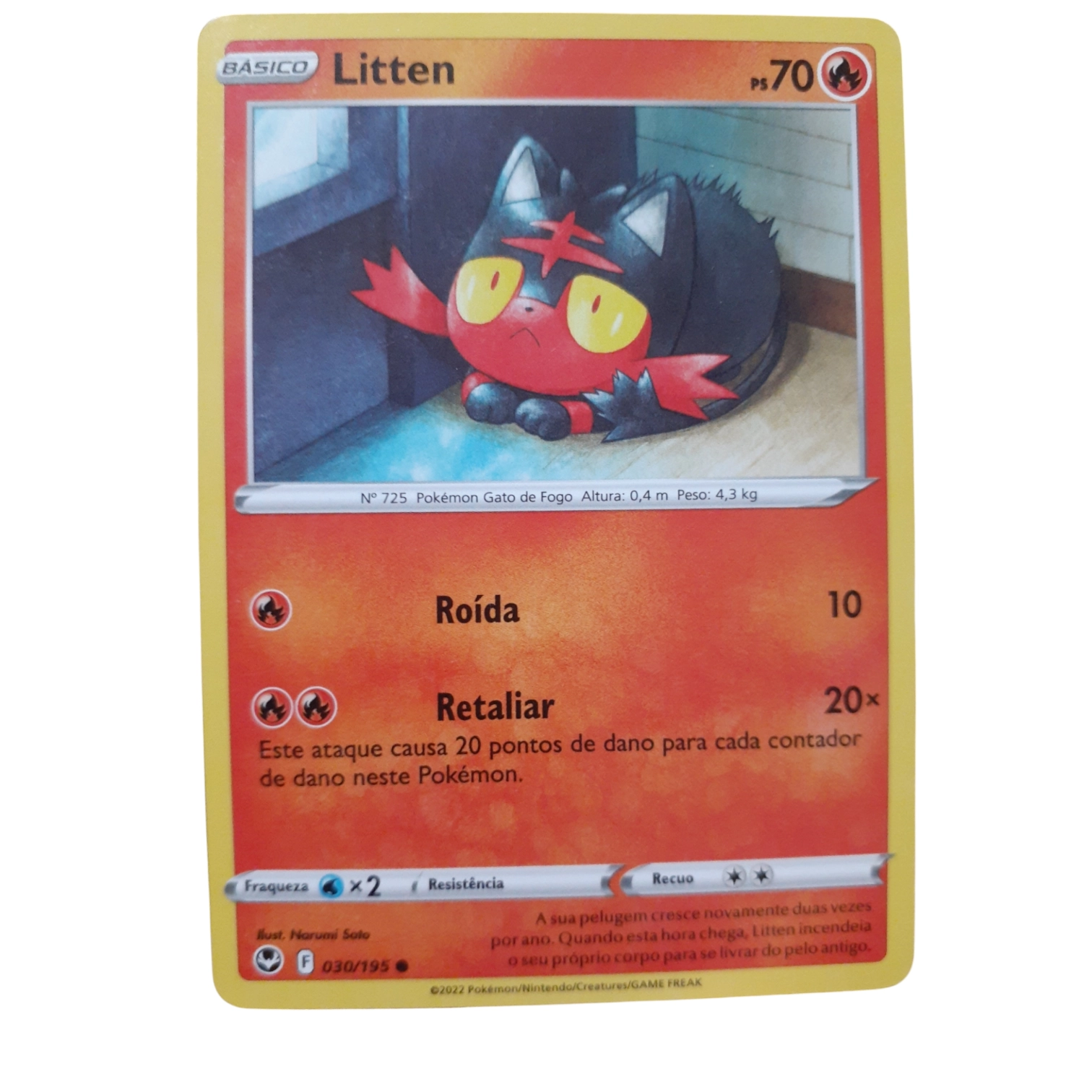 030/195 - Litten (portugués)